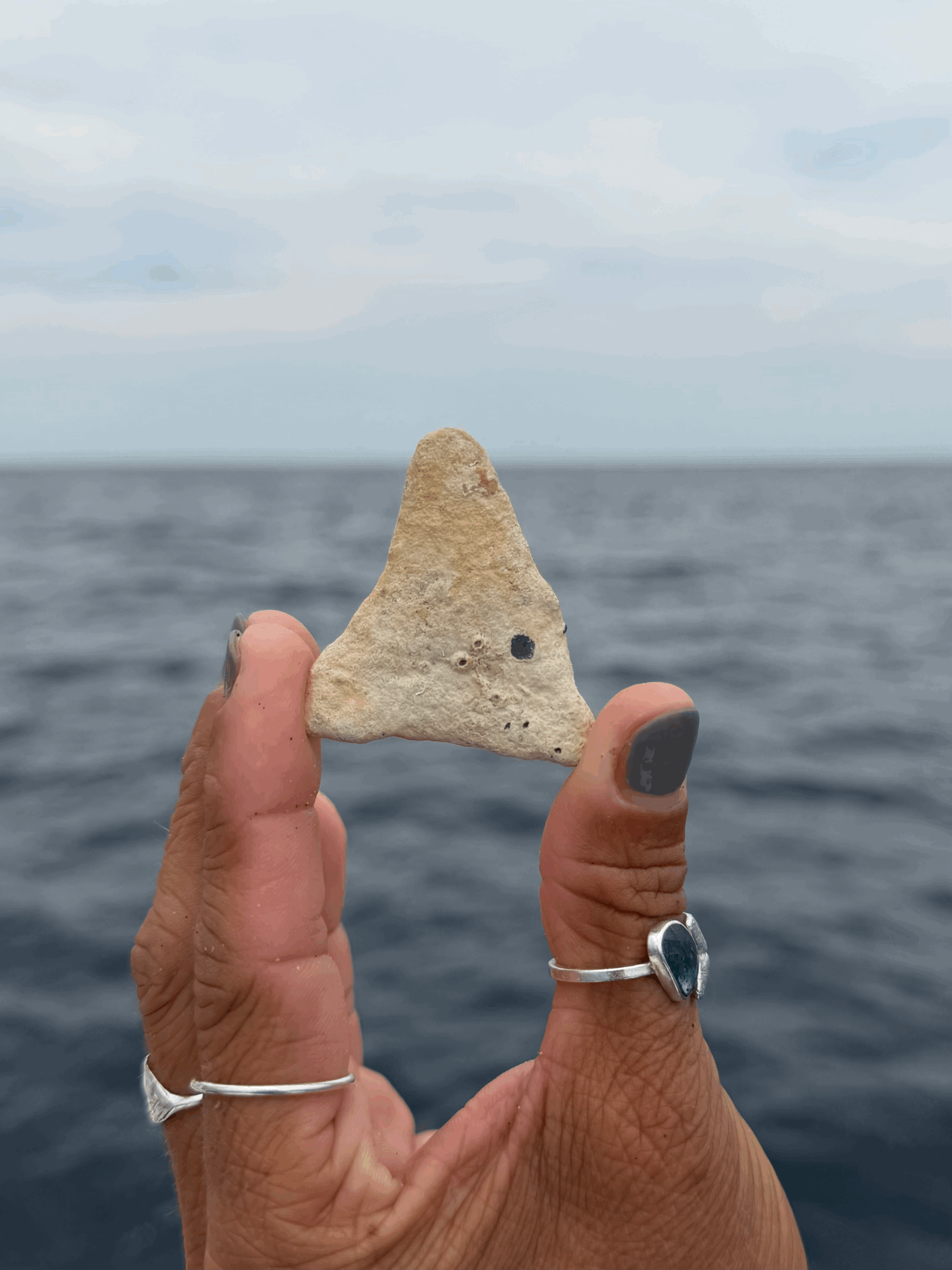 tempImageAMXAlG.gif