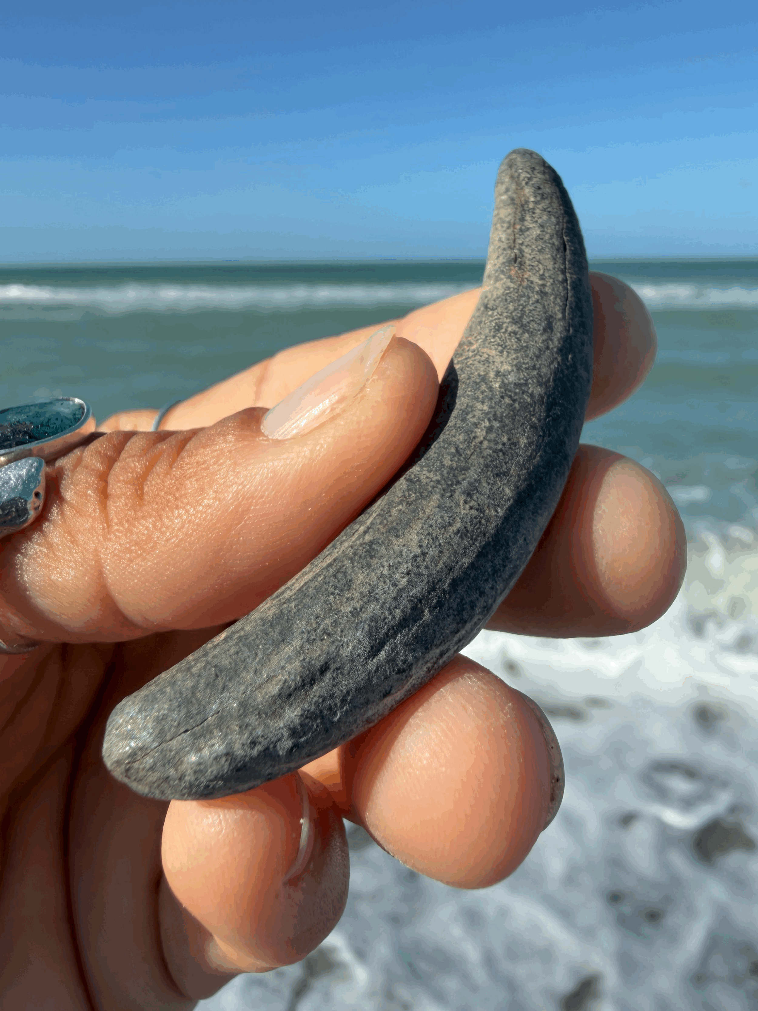 Whale Tooth (GA)