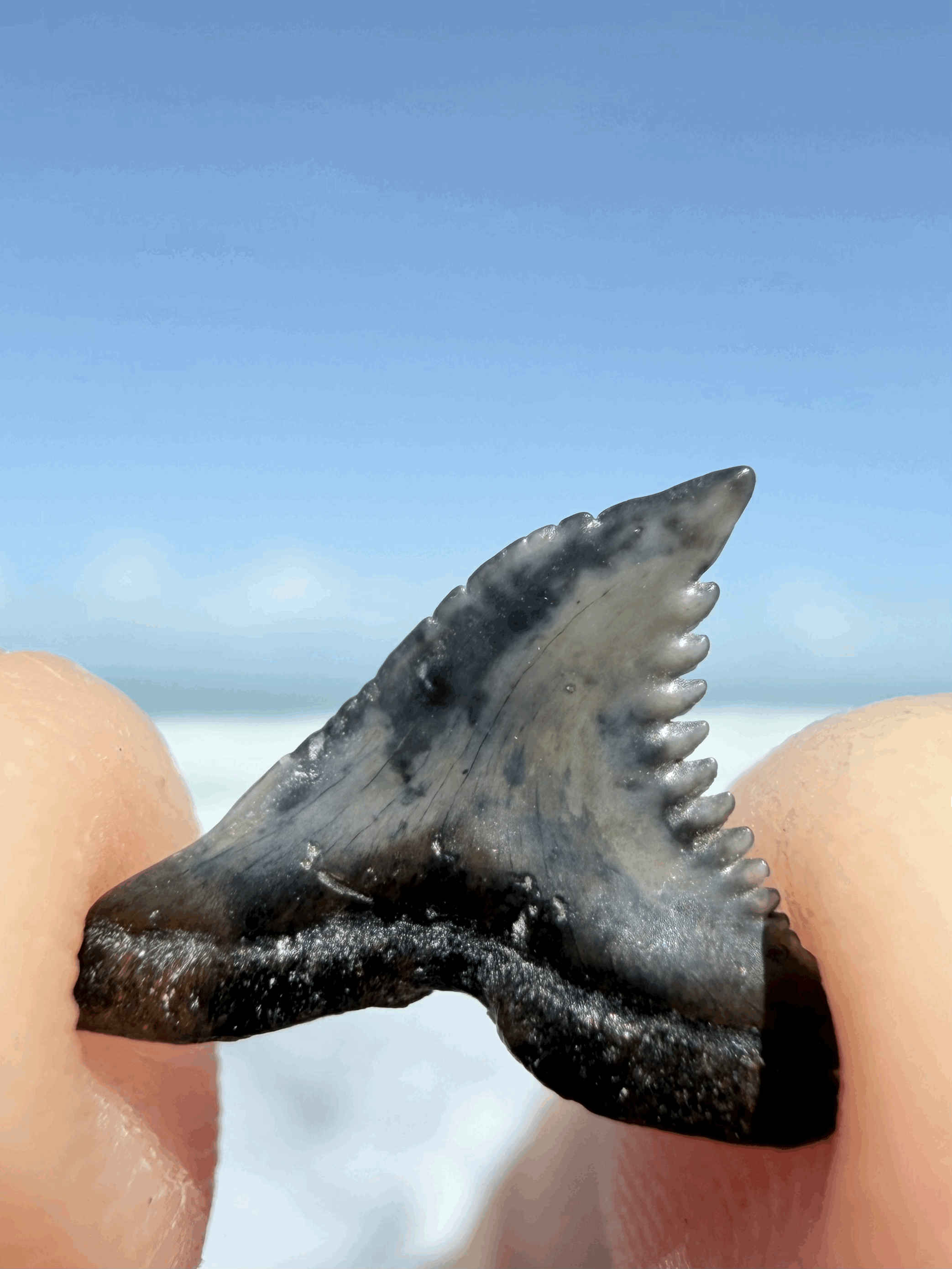 tempImageBzWCgx.gif