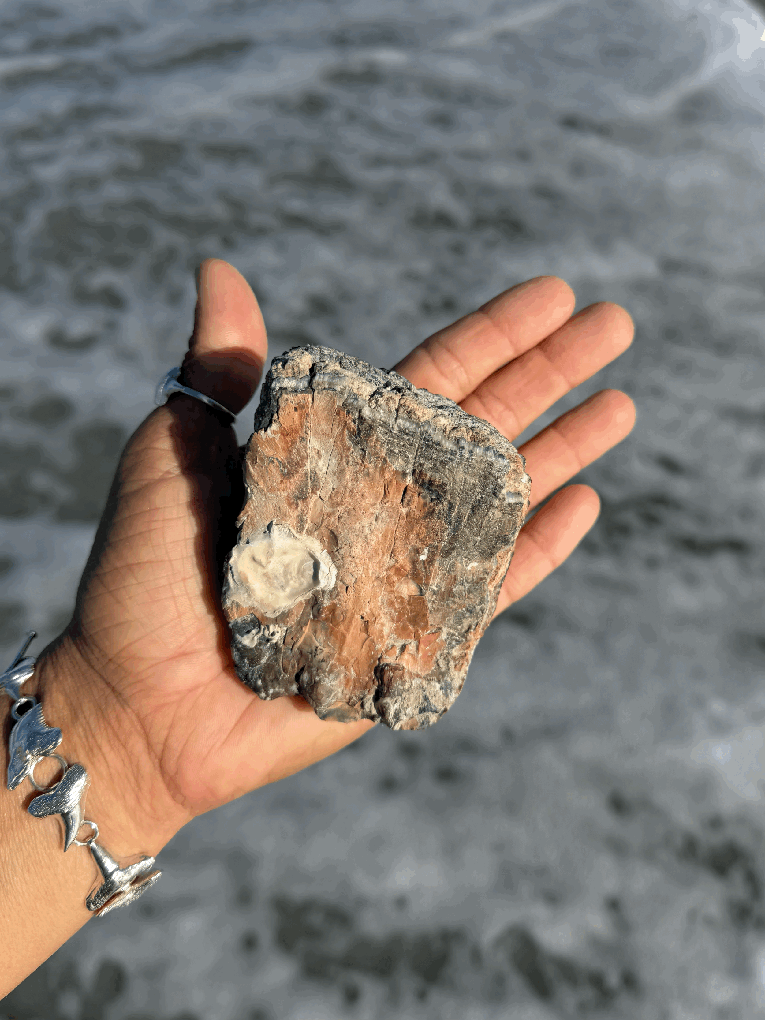 tempImagenjB6xi.gif