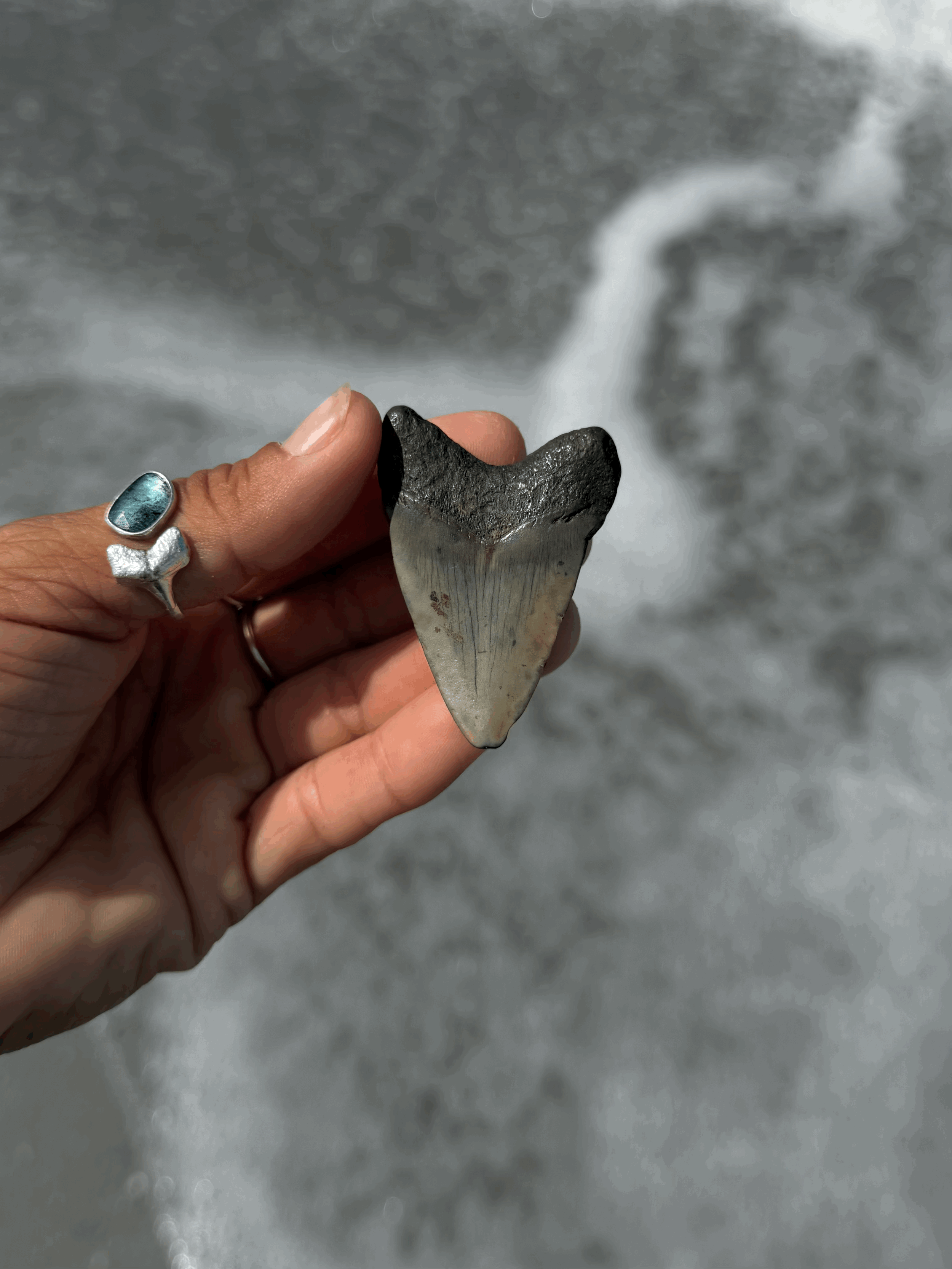 tempImageriuMRm.gif