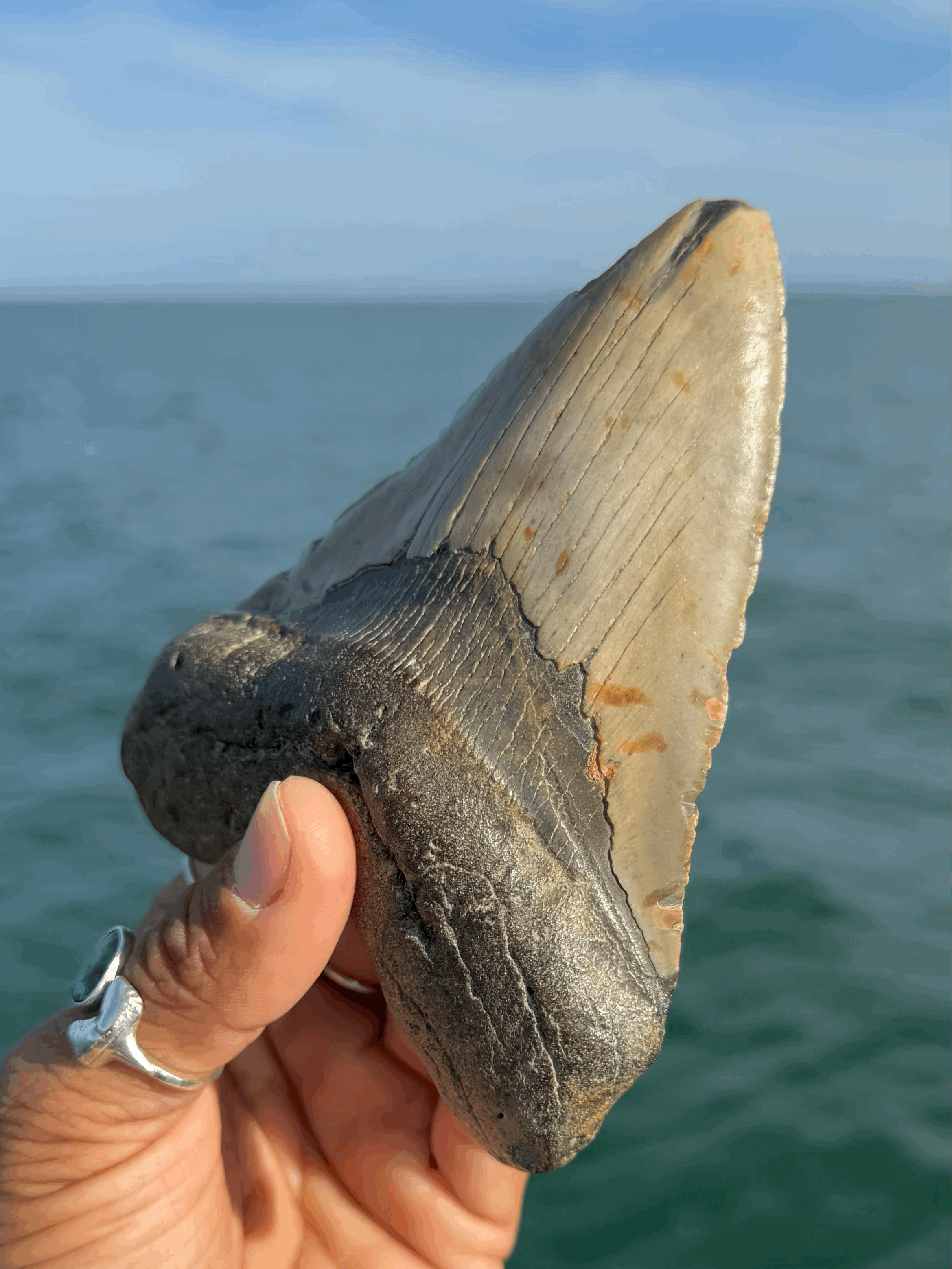 tempImageRA5IeW.gif