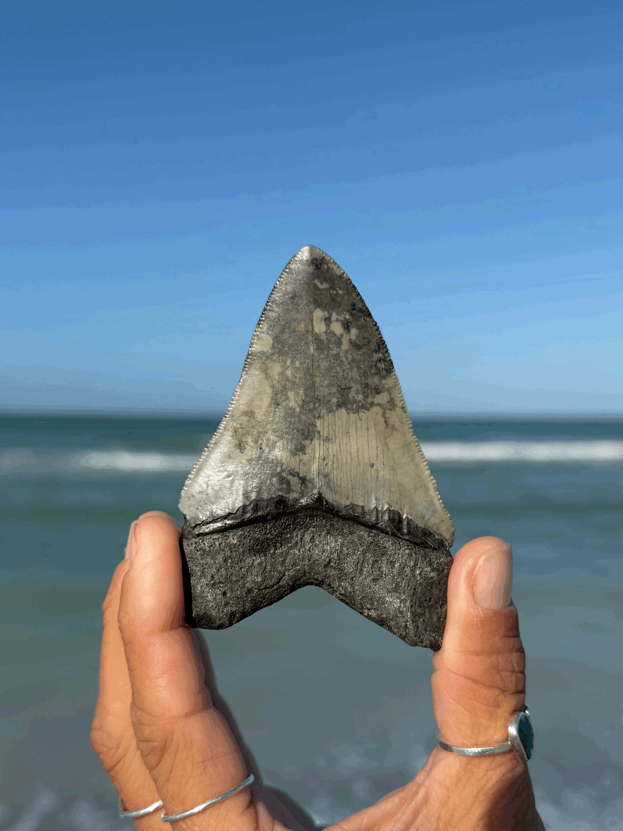 tempImagehDp33A.gif