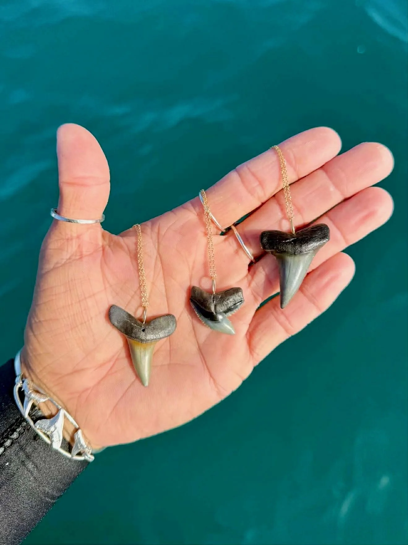 c15f2749f43d4585cf4b5247af9cb548 2.jpeg