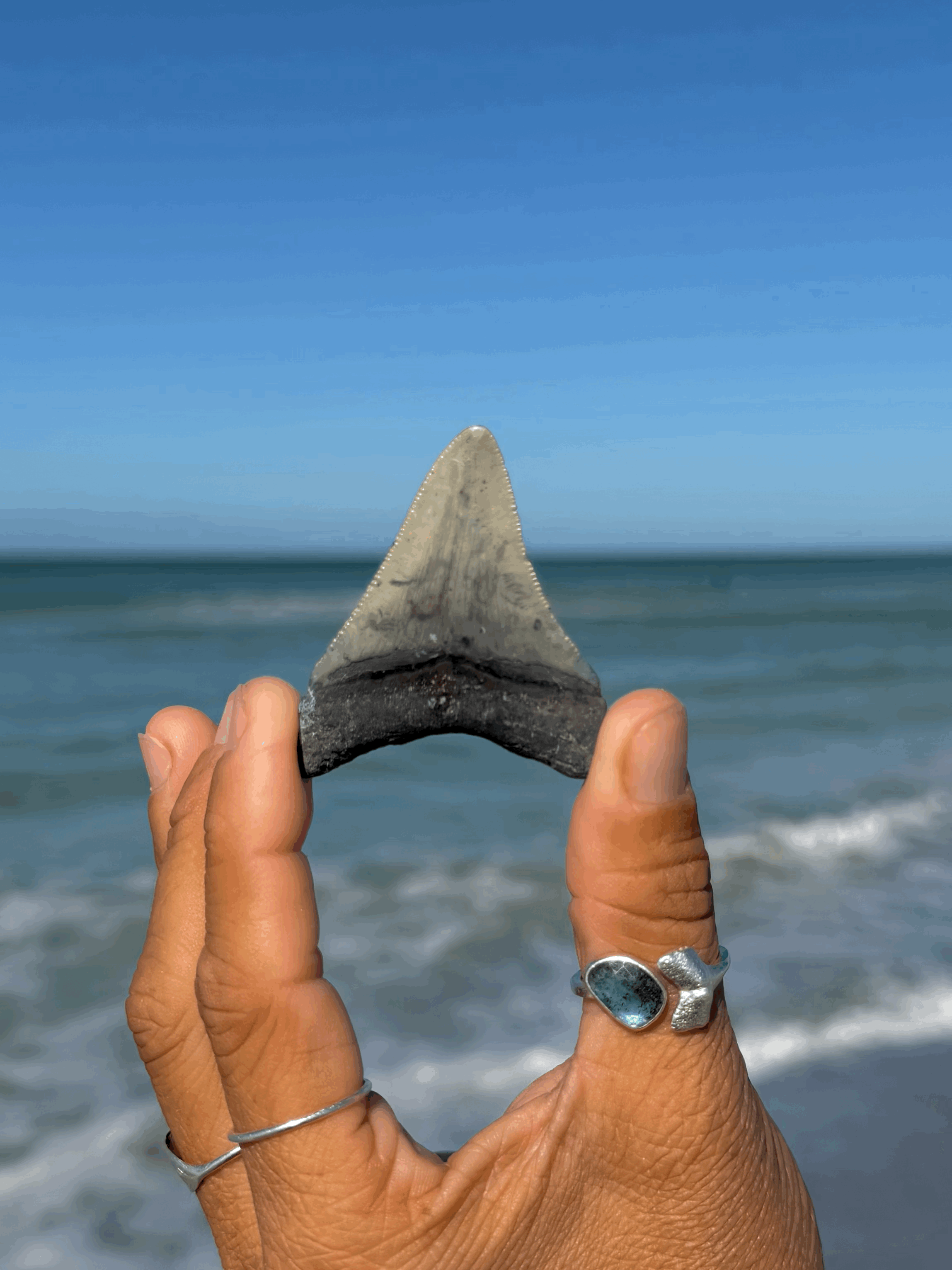 tempImage0773OX.gif