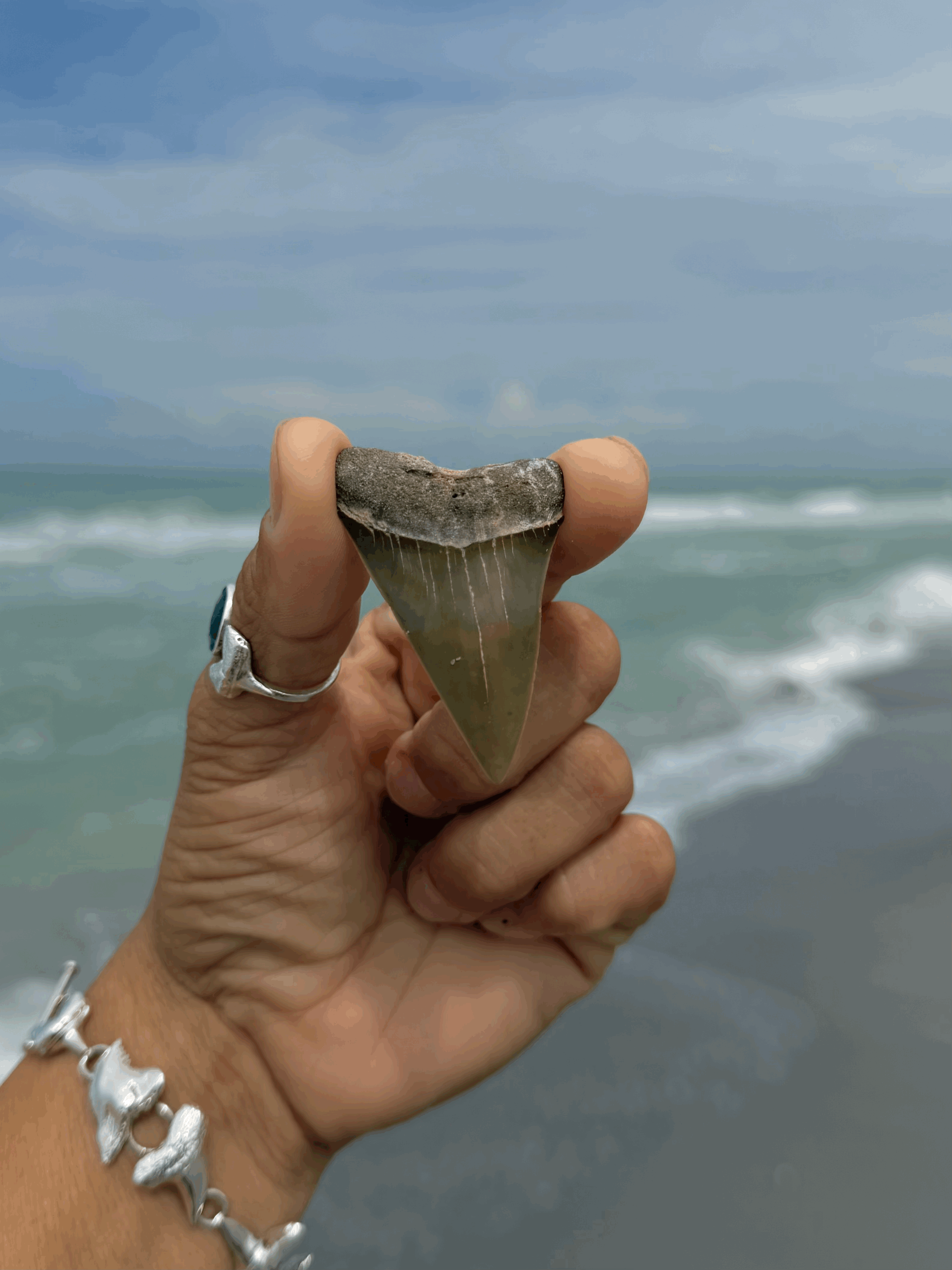 tempImagebLhLp0.gif