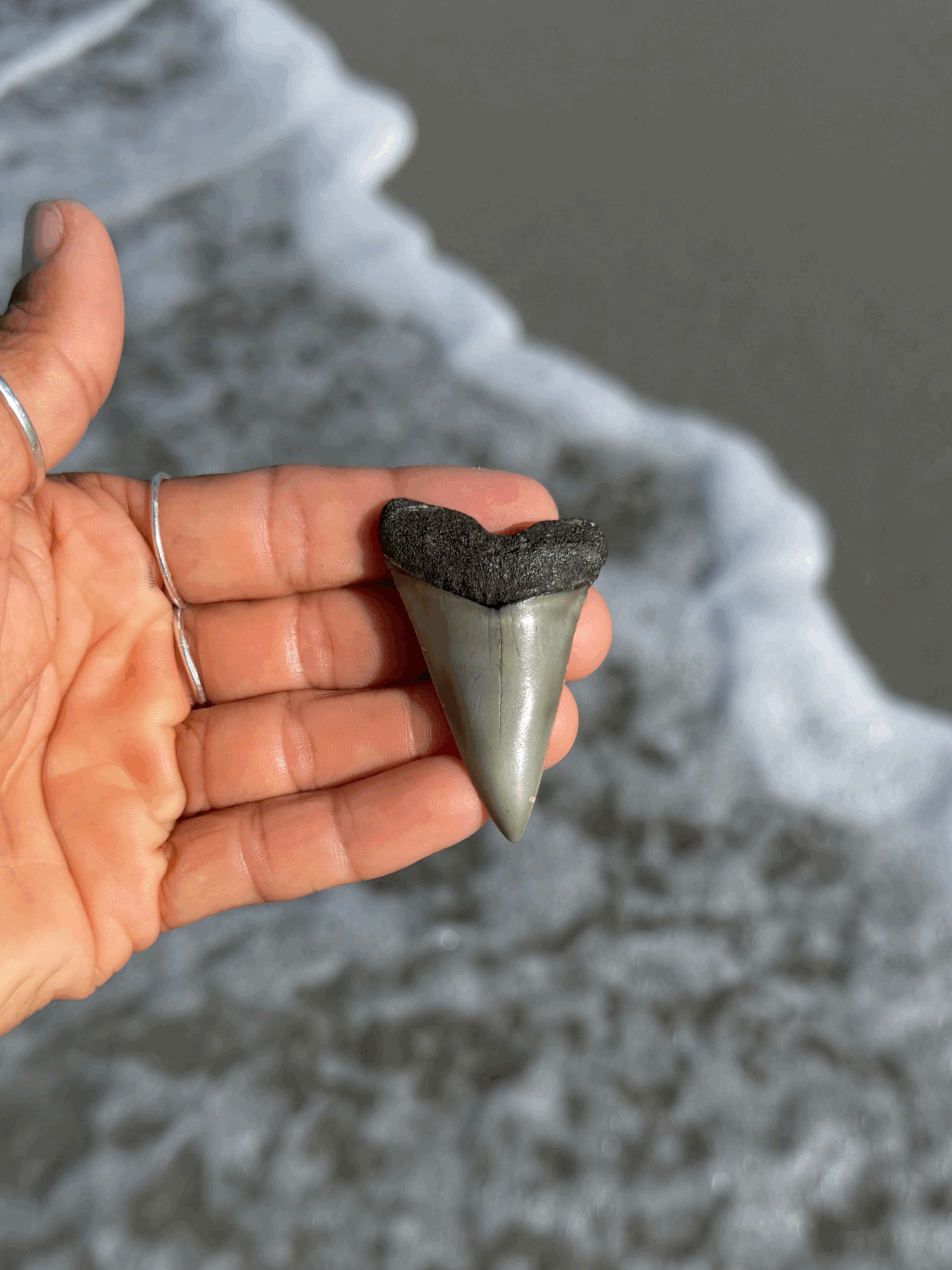 tempImageiNXNH3.gif