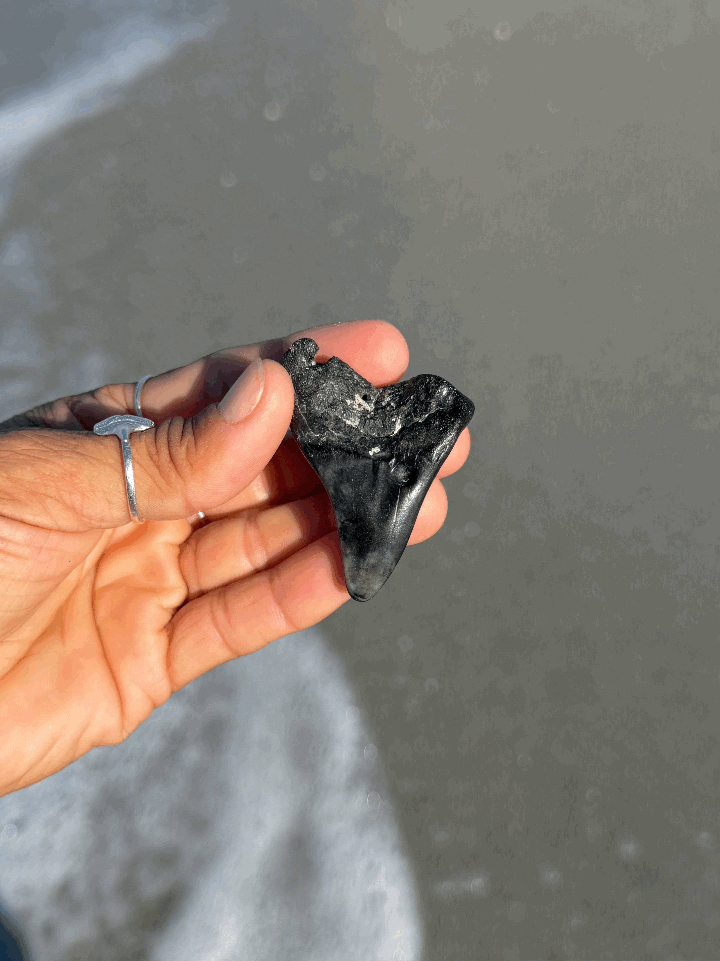 tempImaget5O1GF.gif