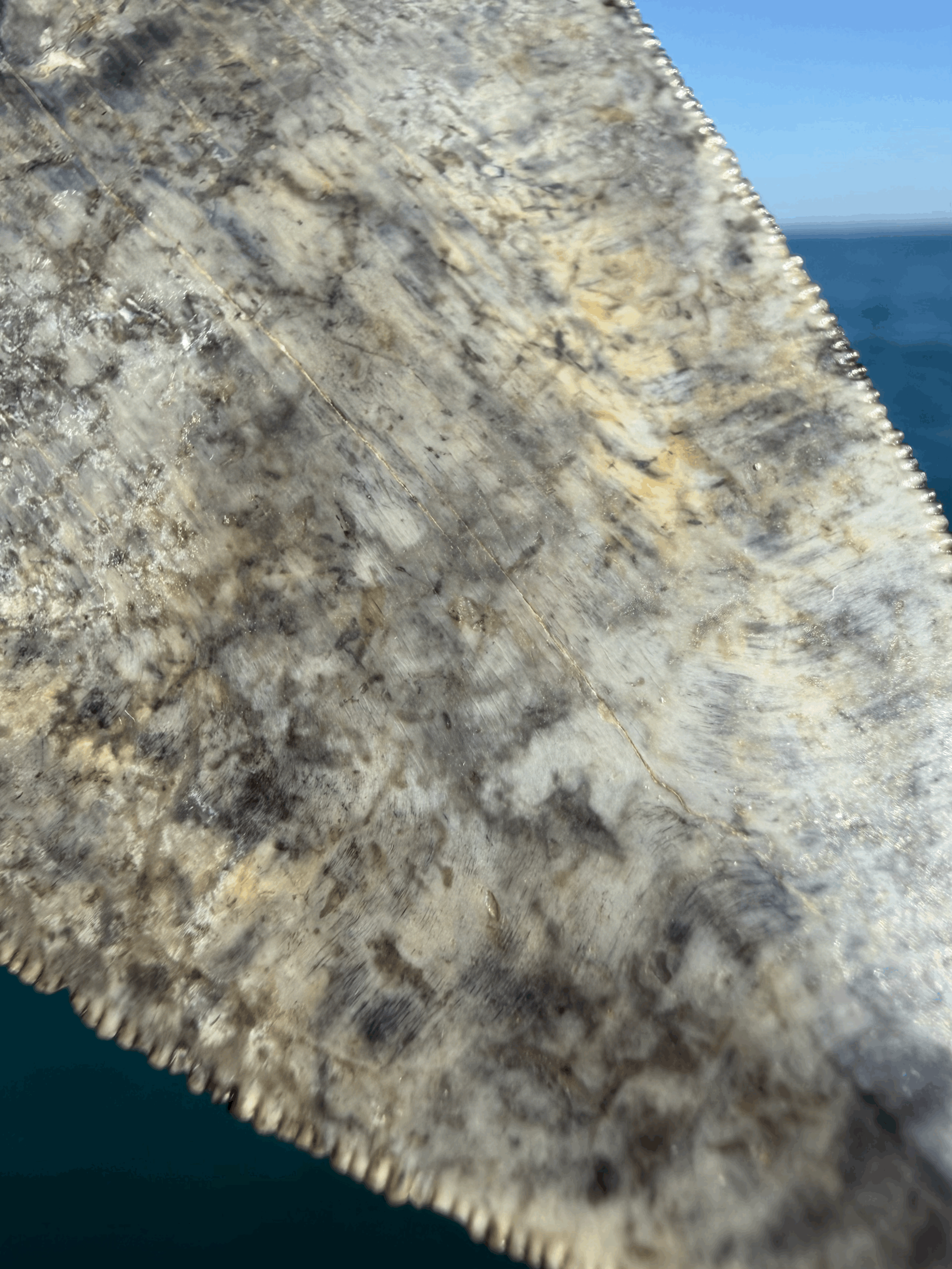 tempImageuIVSo0.gif