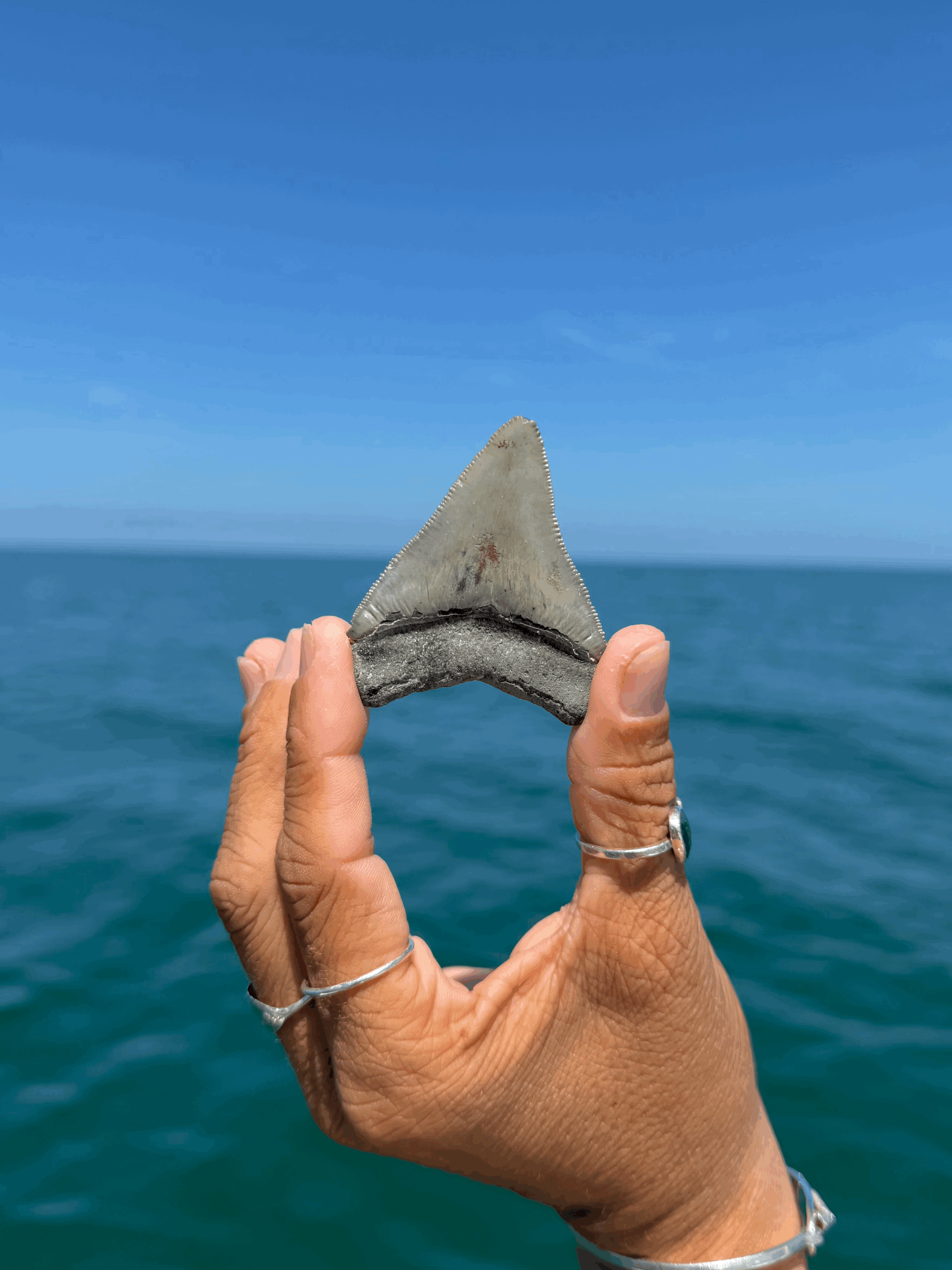 tempImagemYMbY7.gif