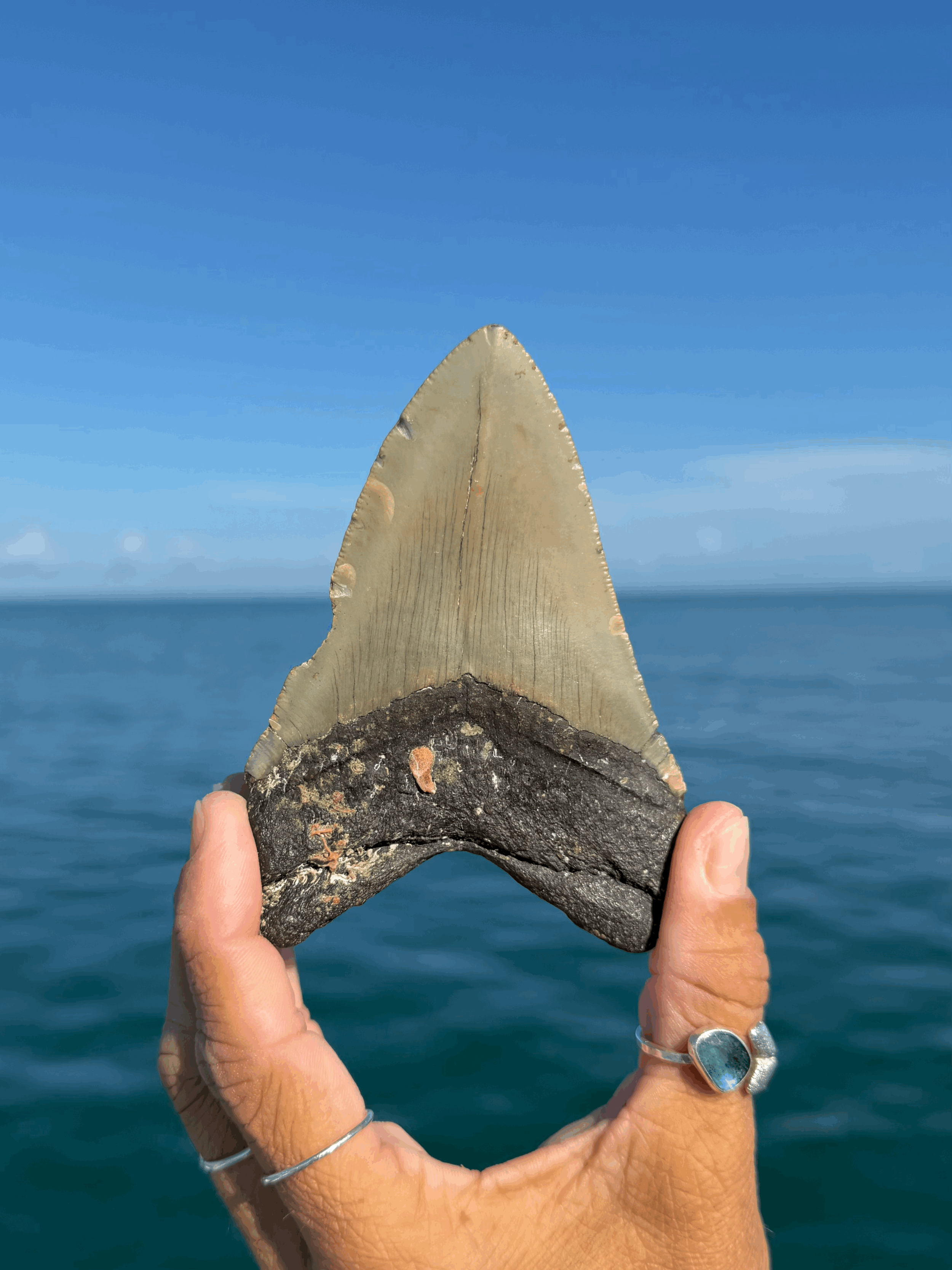 tempImageEQ2nz9.gif