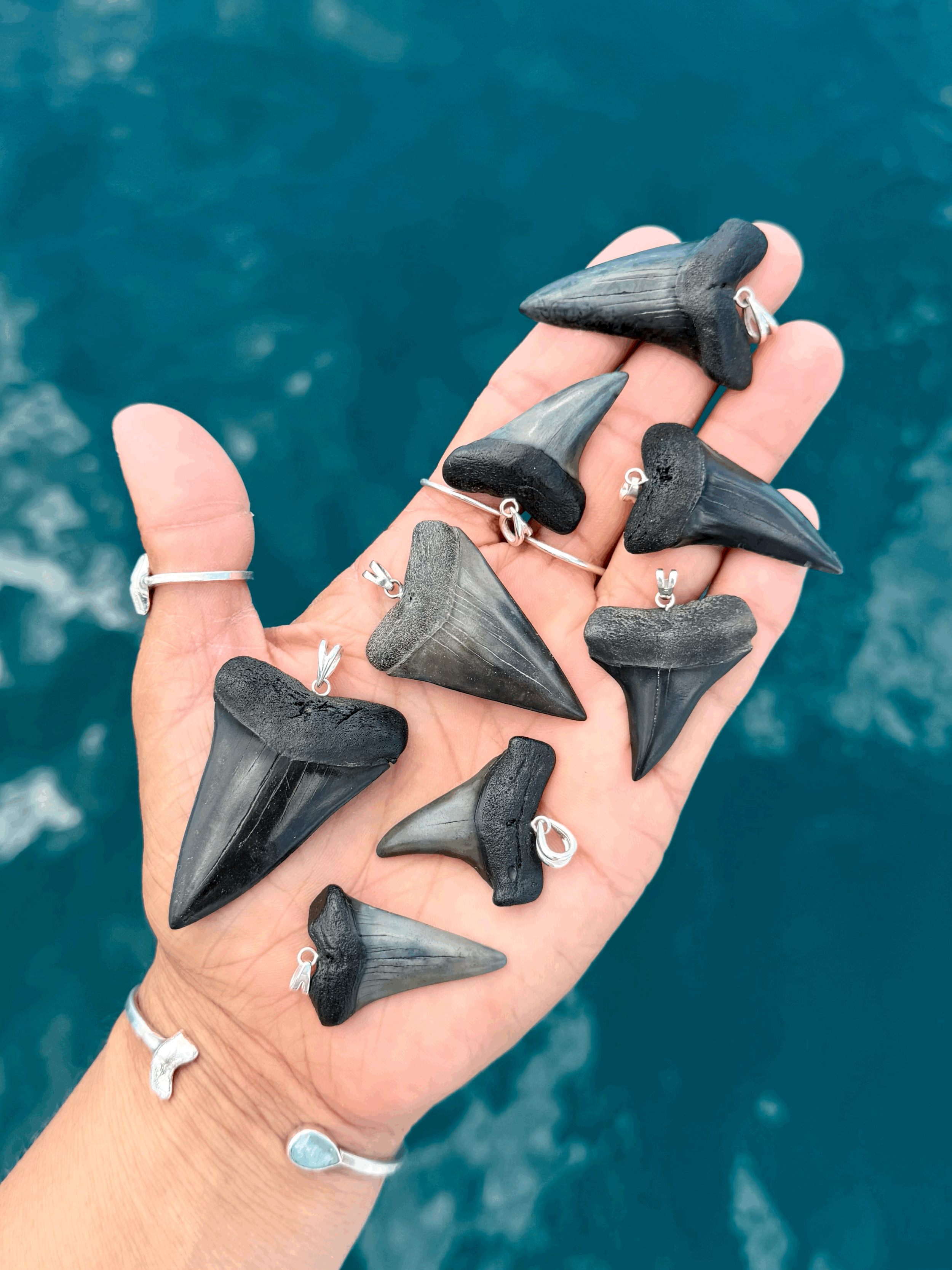 Georgia River Hastalis Collection