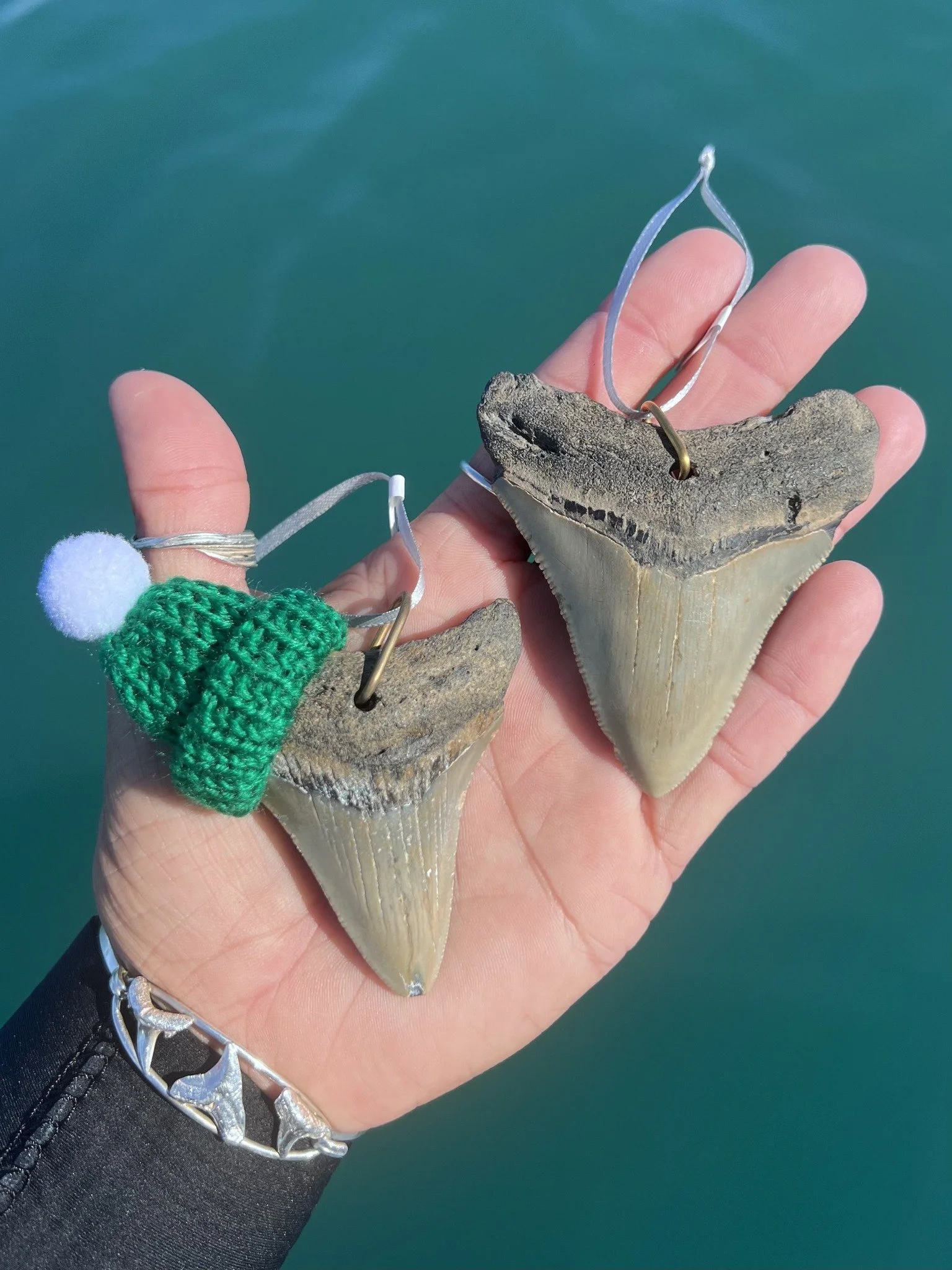 Holiday Meg Ornament.jpg