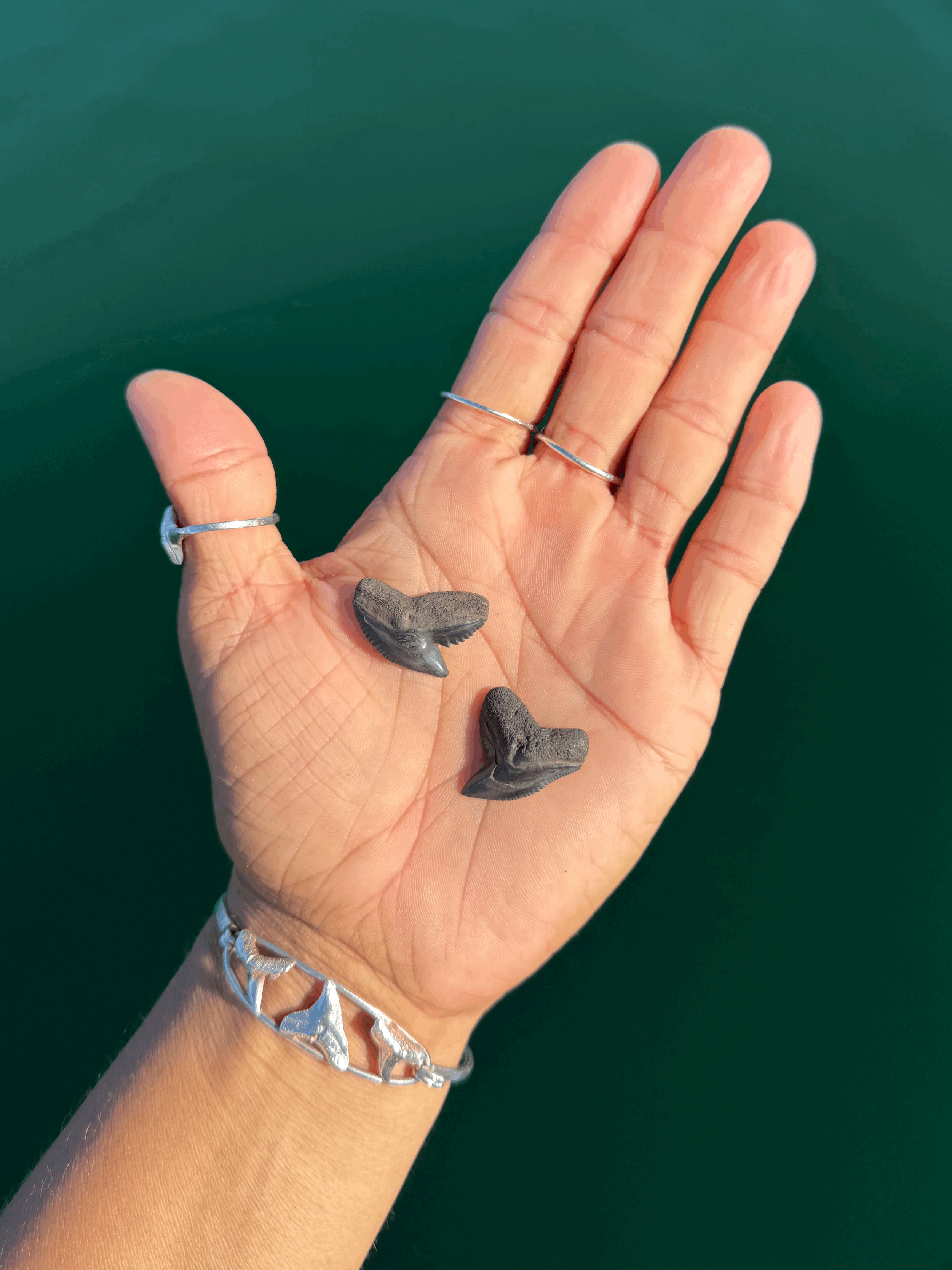 tempImageEISFr8.gif