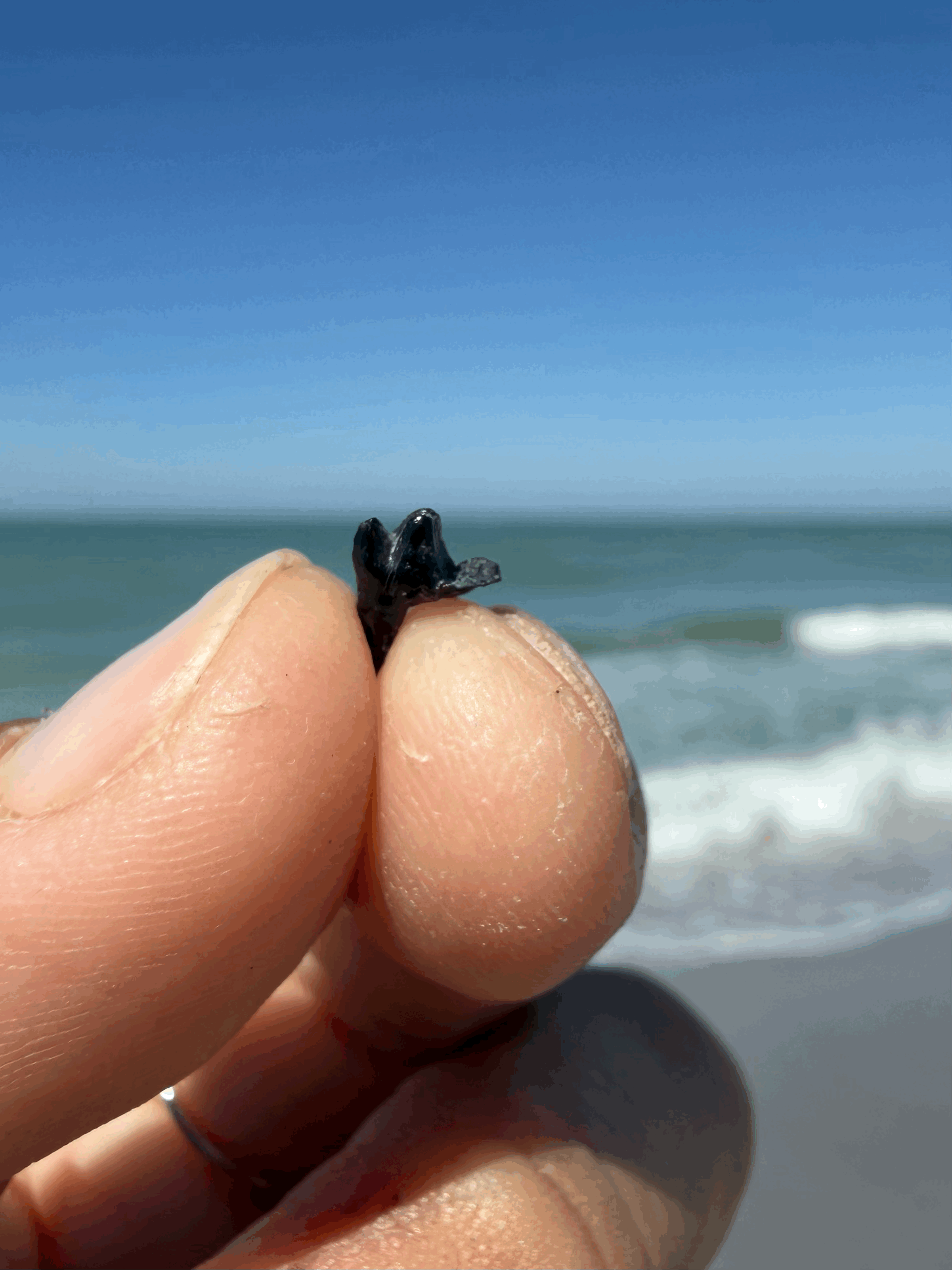 tempImagega71Vd.gif