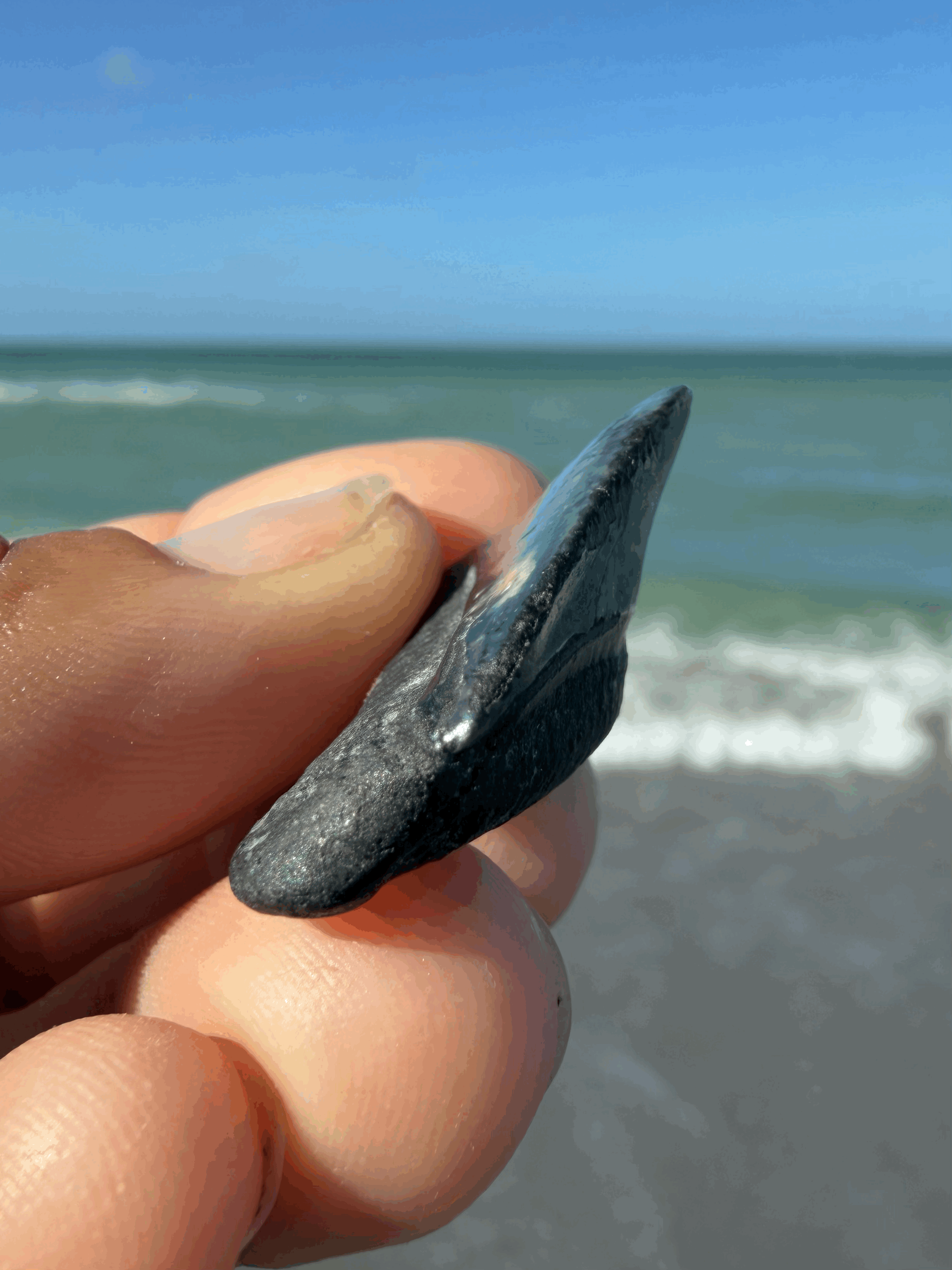 tempImagerMiOOg.gif