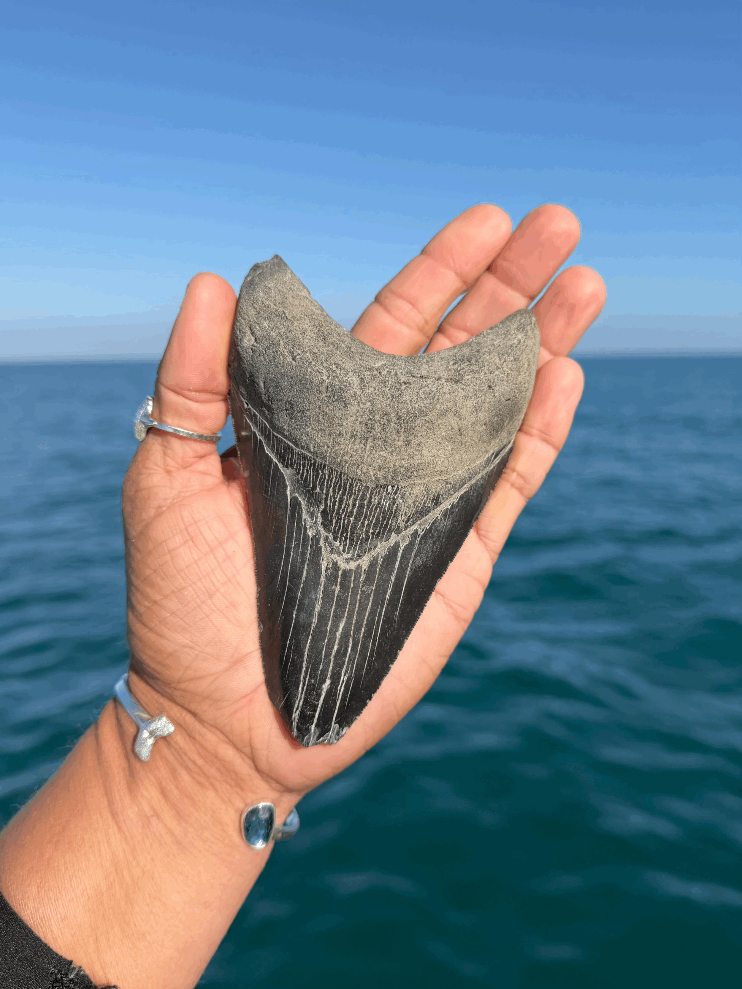 tempImagehANse3.gif
