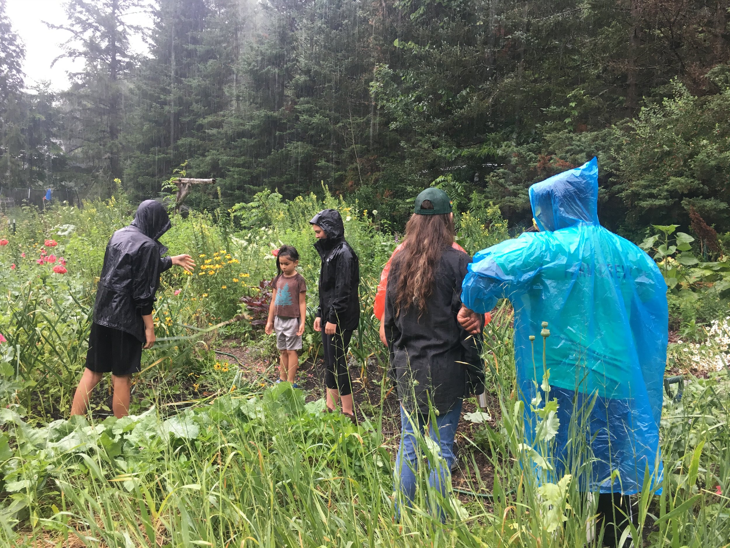 Harvesting in the rain, a group of beings mostly in rain coats.