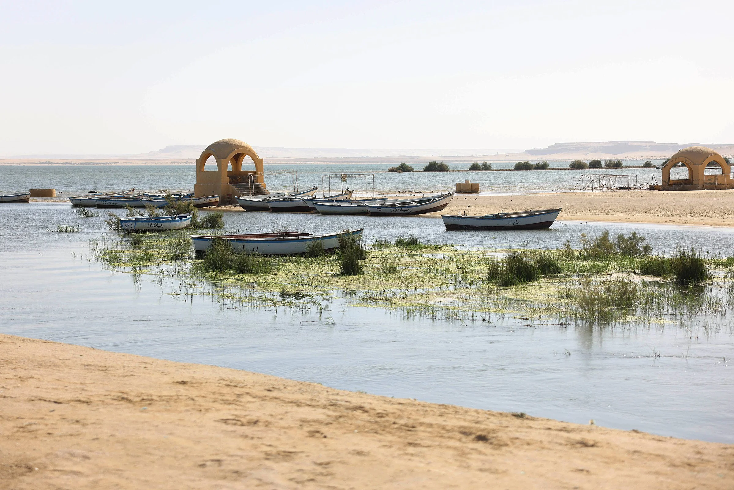 Fayoum Lane Oliveri 2023-81.jpg