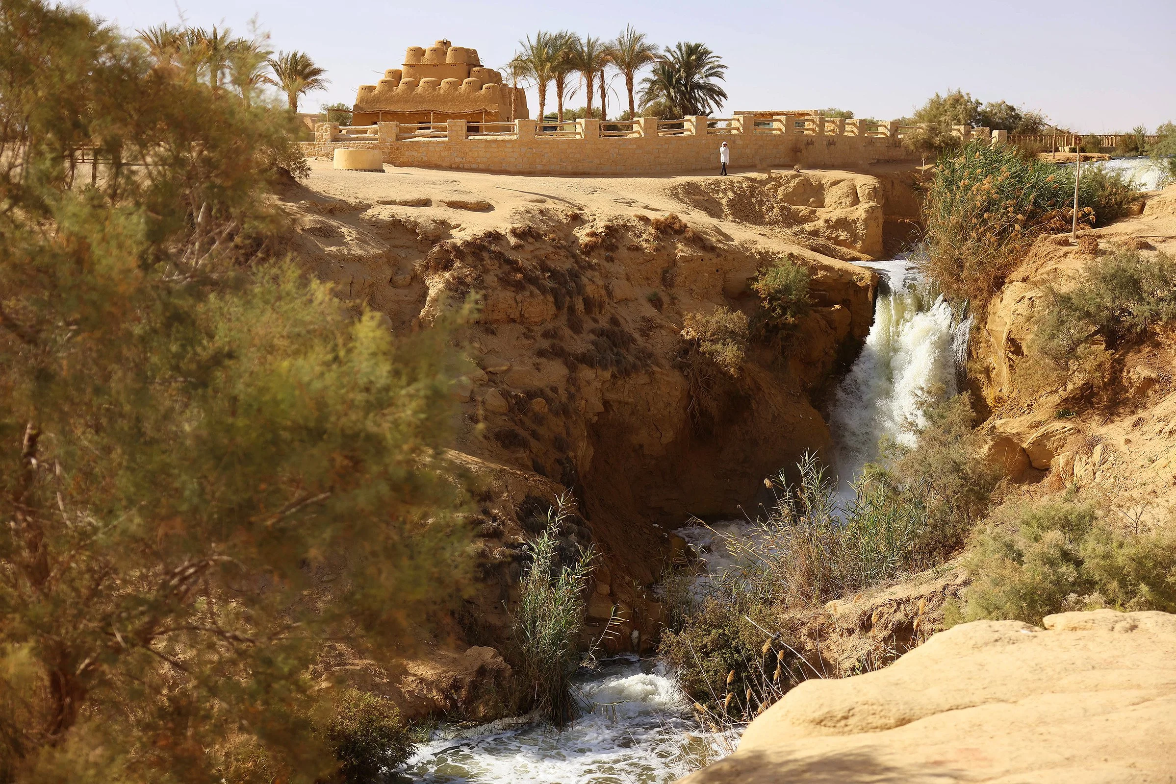 Fayoum Lane Oliveri 2023-73.jpg