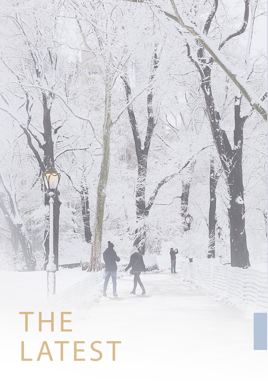 Winter Travel