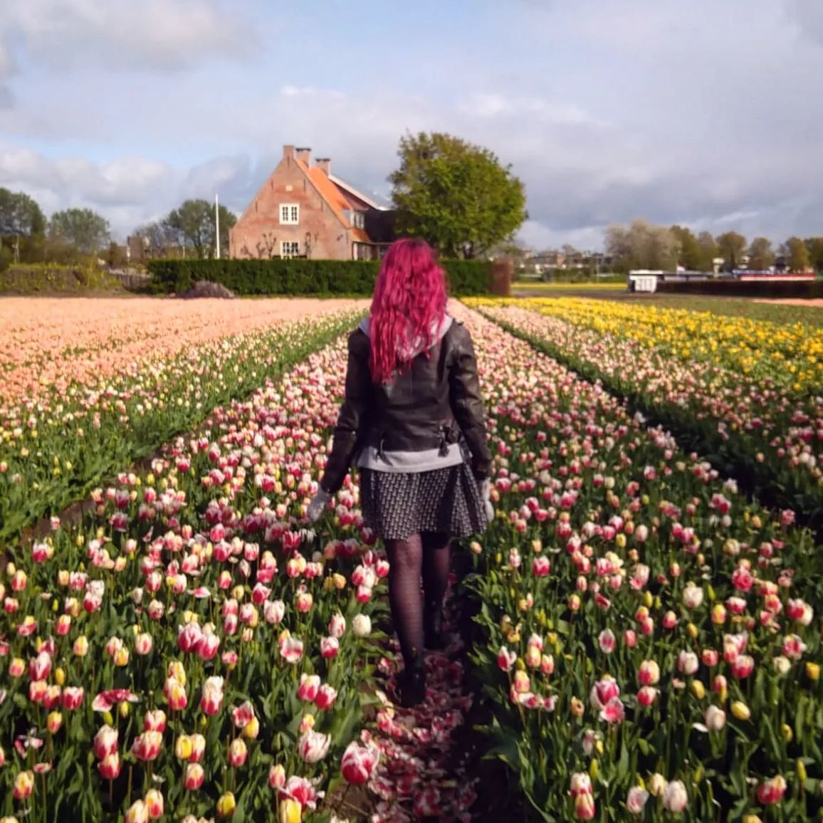 Had a lush weekend in visiting my sister in the Netherlands. I just had to squeeze a tulip trip in! 🌷 

#tulips #tulip #tulipfields #keukenhof #Holland #travel #florist #floristry #flowers #beautifulflowers #travellingflorist #travel #seetheworld #b