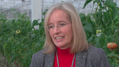 Conservatives decisively win B.C. federal byelection, dealing another blow to Trudeau