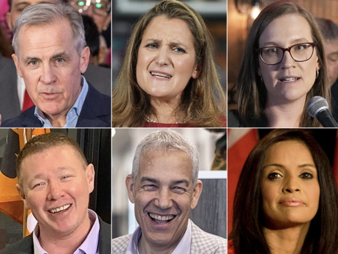 Six Liberal leadership contenders in race after MP Chandra Arya disqualified