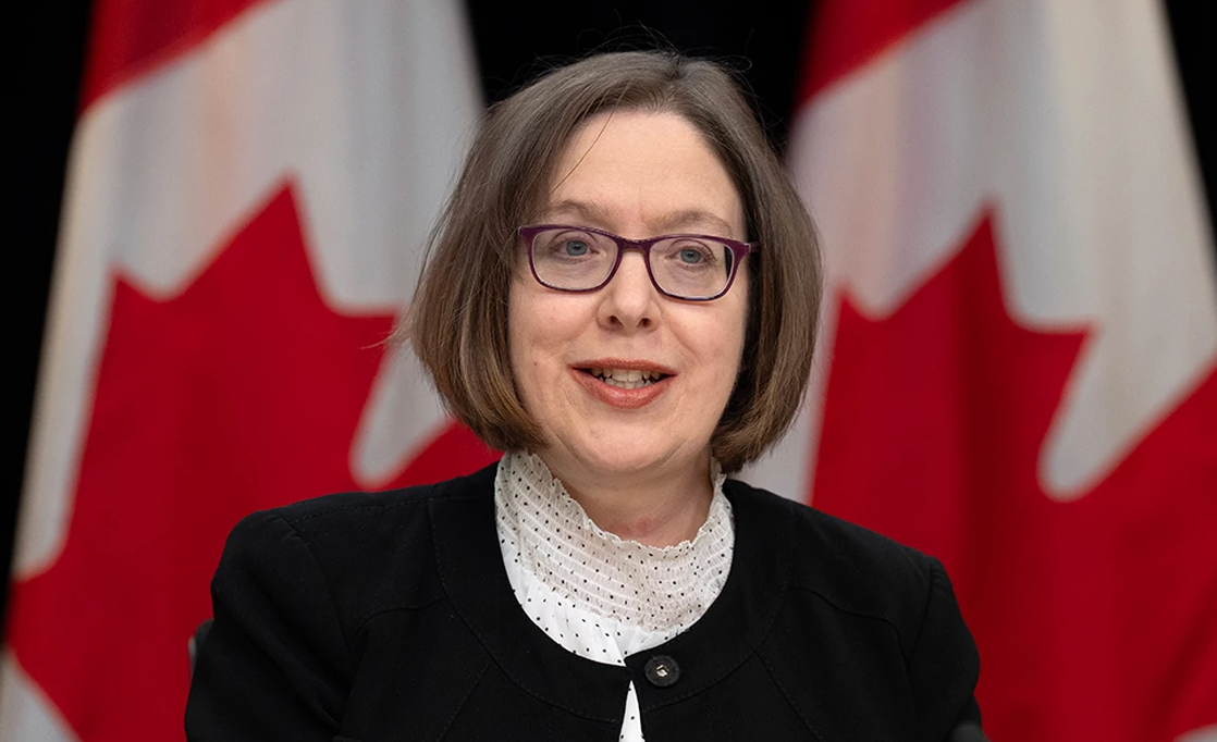 China, Russia, India will likely try to interfere in federal election, task force says