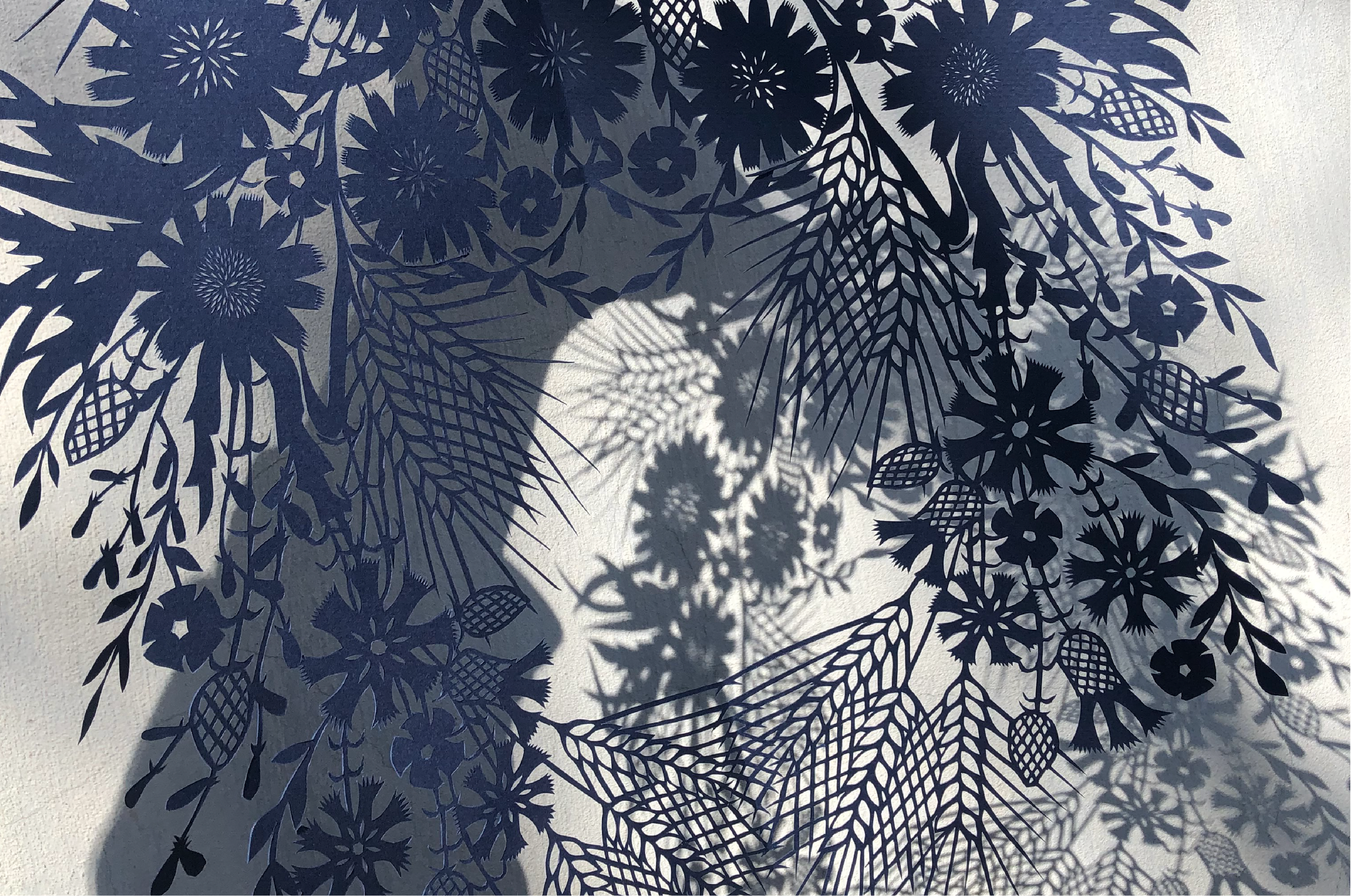 In conversation: Olena Konohorova