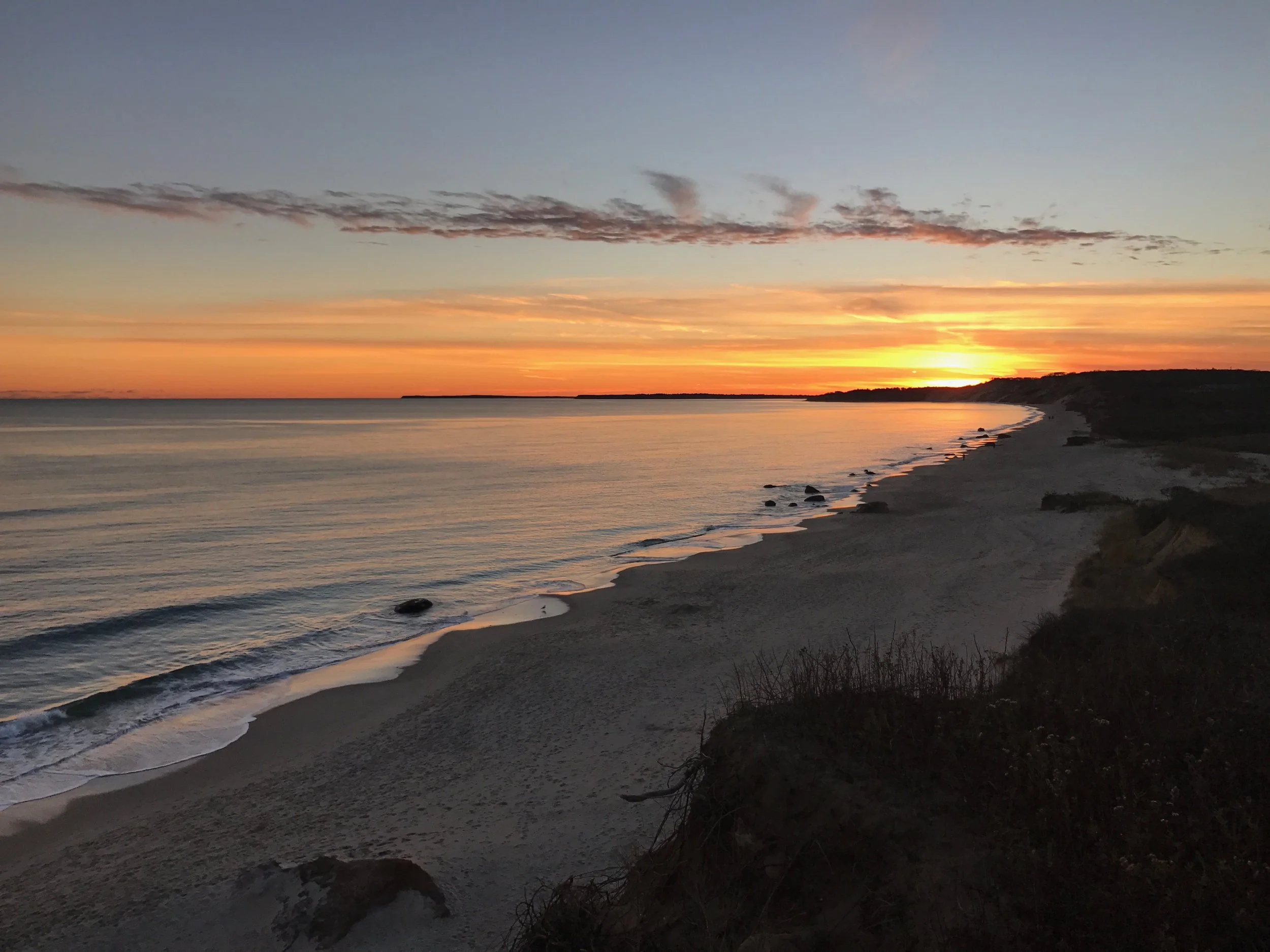 Announcing Executive Director’s Retirement and Updates to 2026 Grant Cycle.