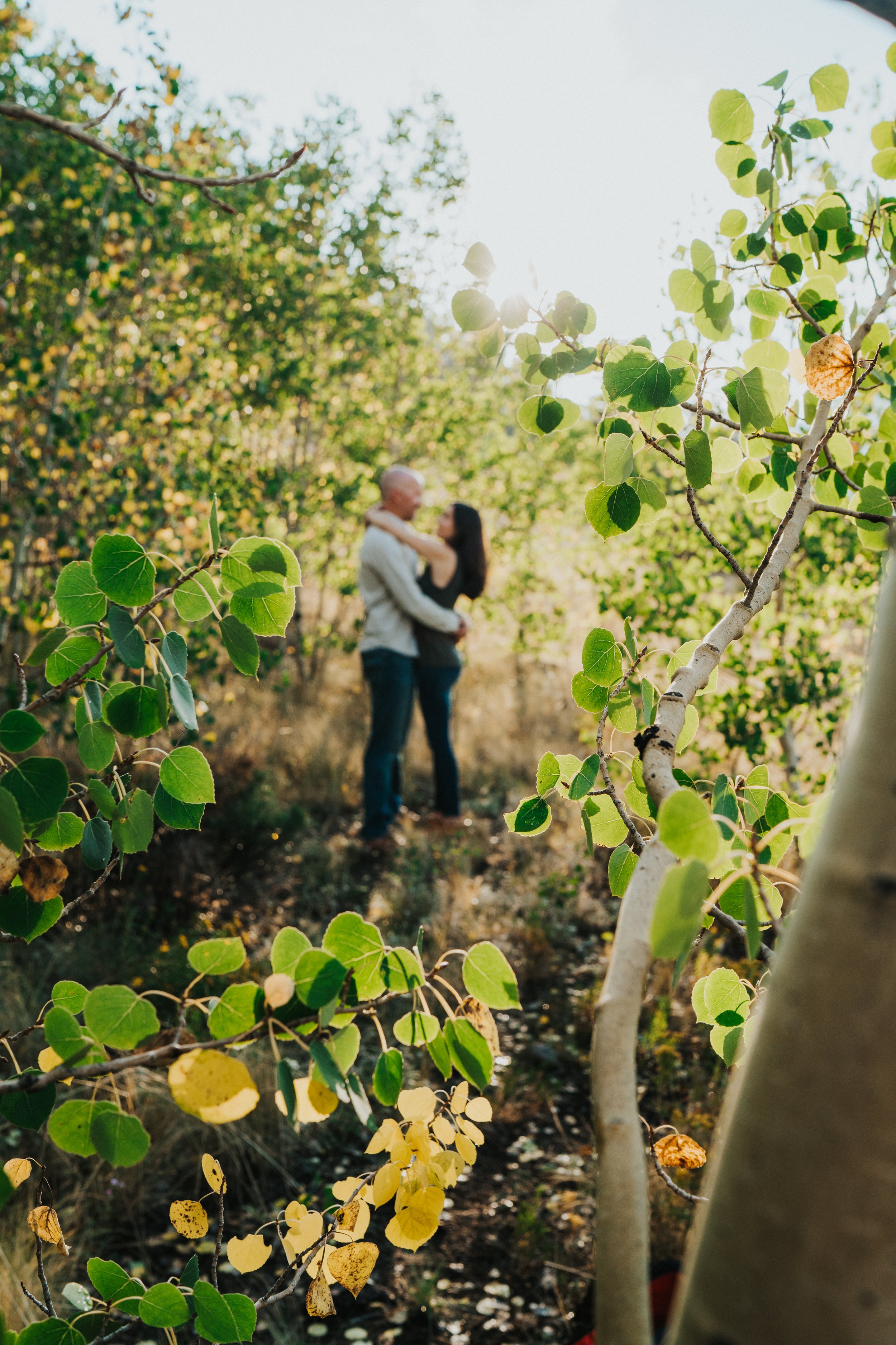 Loveland Colorado Engagement AFrame Home Xan + Matt — Madeline J
