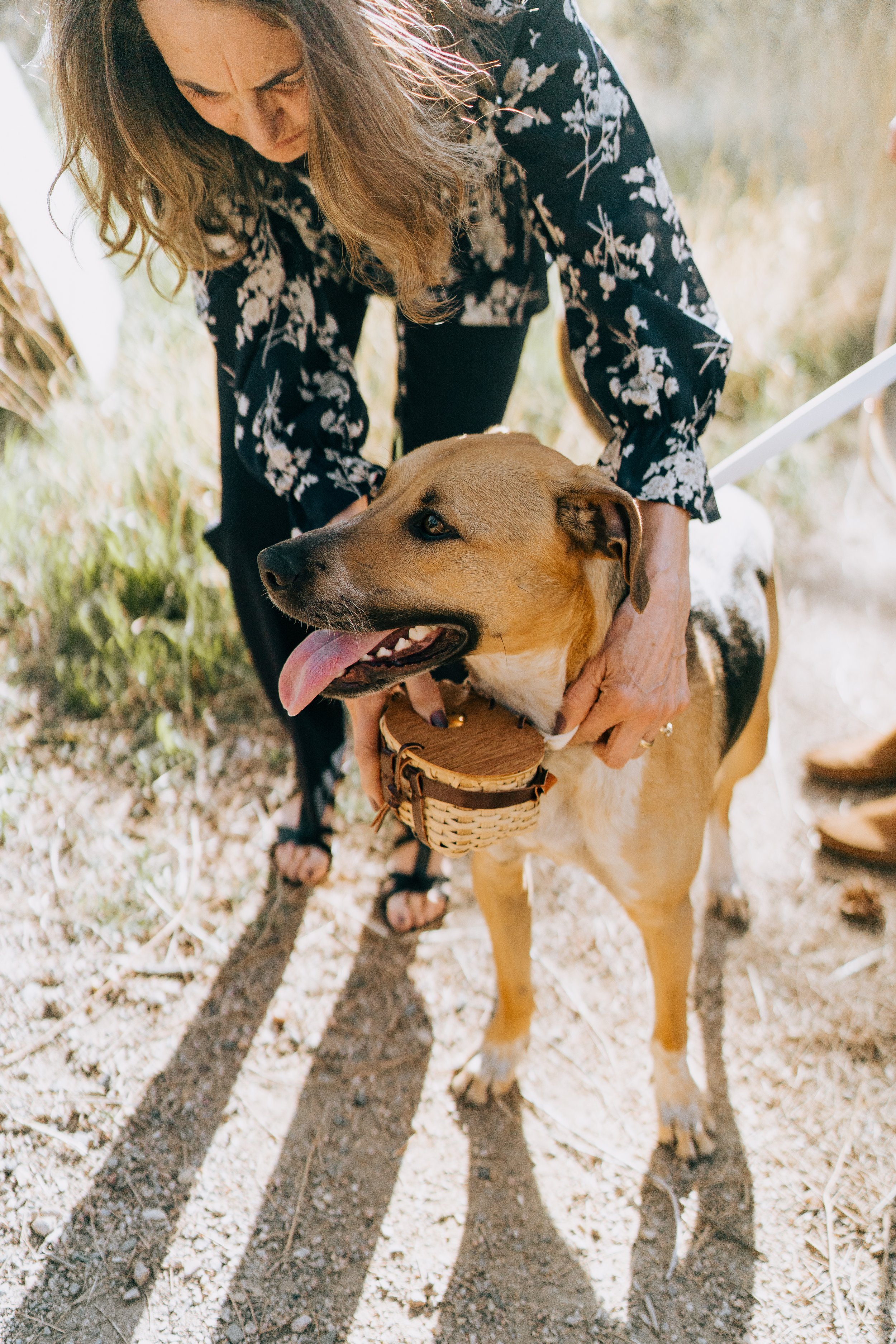 poudre-canyon-fort-collins-wedding-photographer-with-dog