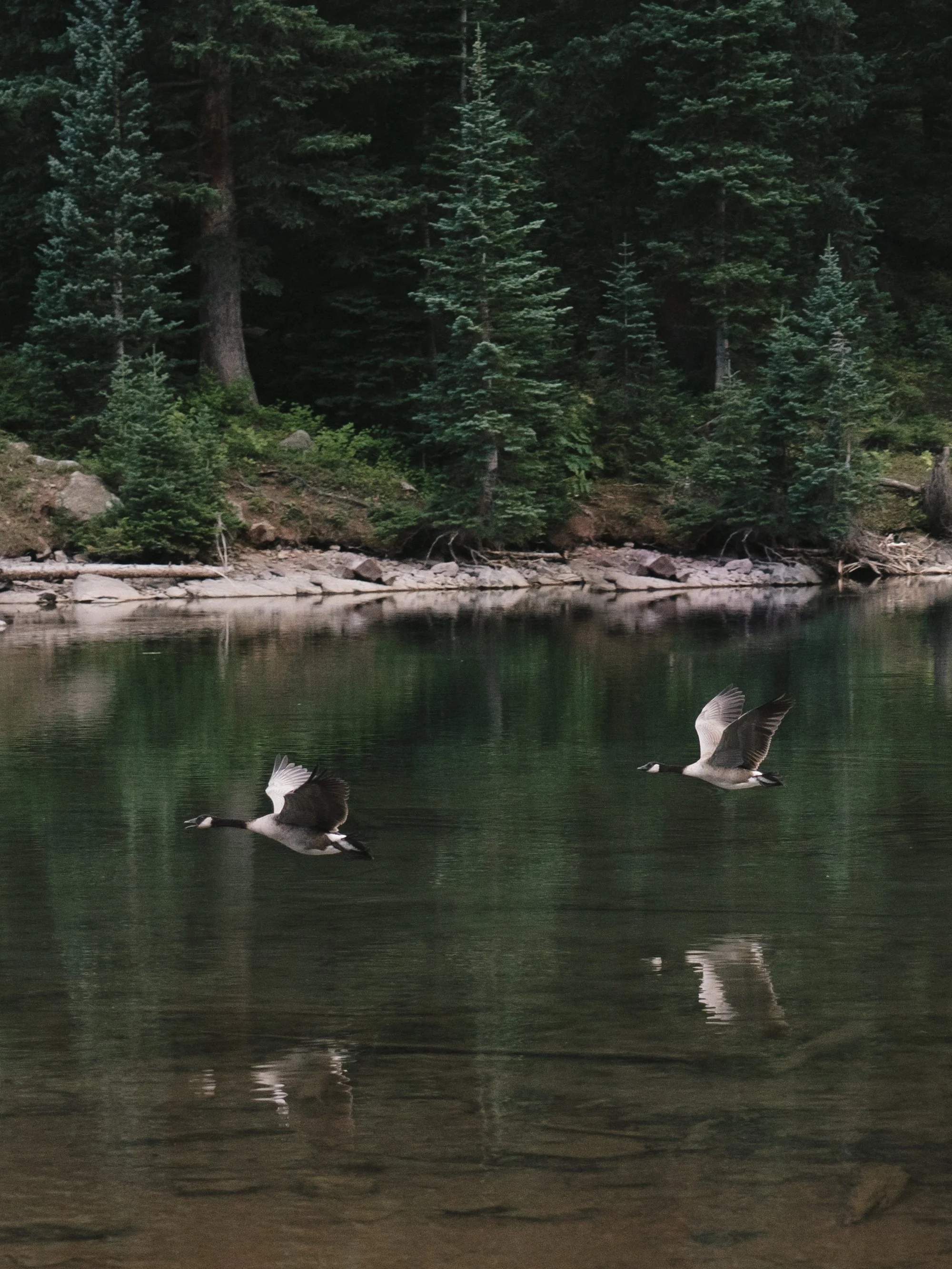 20250812-164607.jpg