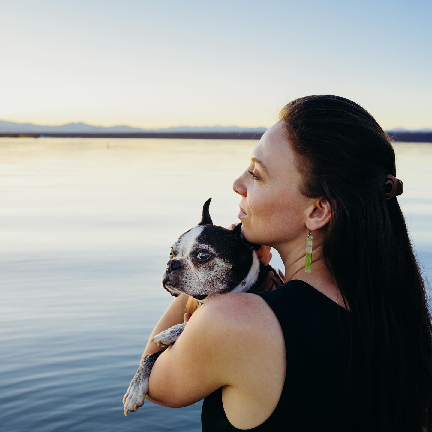 Photoshoot of my dear photographer friend and her beloved pup Jordy 
.
.
.
.
.
#dogsofinstagram #dogsarefamily #lovingjordy #love #family #dogs #olddogs #devoted #familymember #furfamily #documentlife #bostonterrier #bostonterriersofinstagram