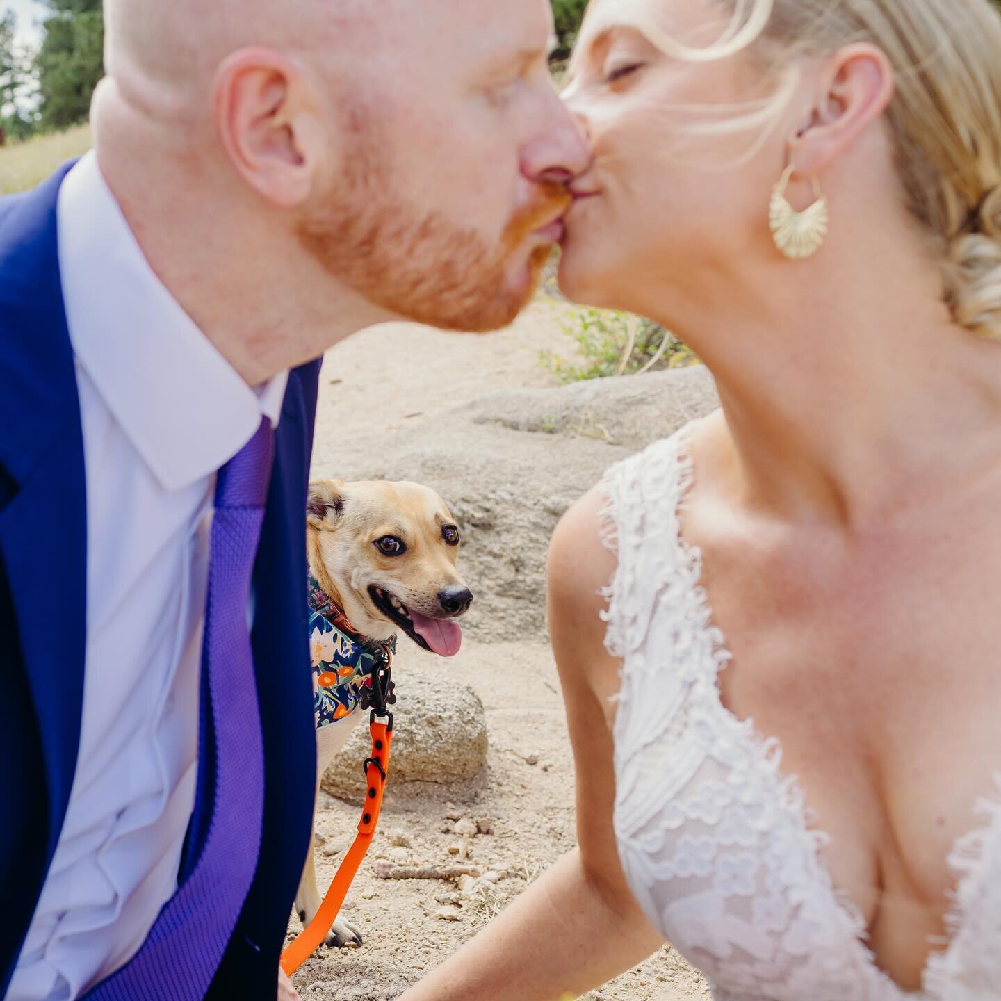 when your pup is just as happy as the groom
.
.
.
.
.
#dogsatweddings #dogs #dogsofinstagram #muttsofinstagram #brideandgroom #weddingportrait #furbaby #dogsarefamily #family #makeeveryonehappy #boulderweddingphotographer #denverweddingphotographer #