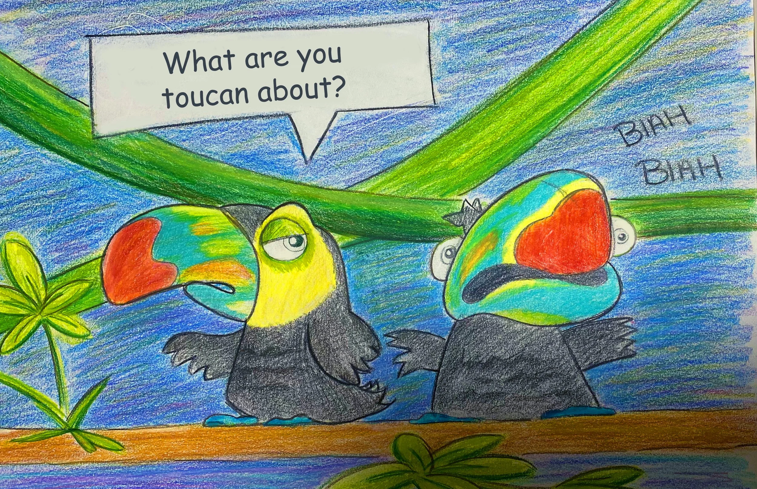 toucan .jpg