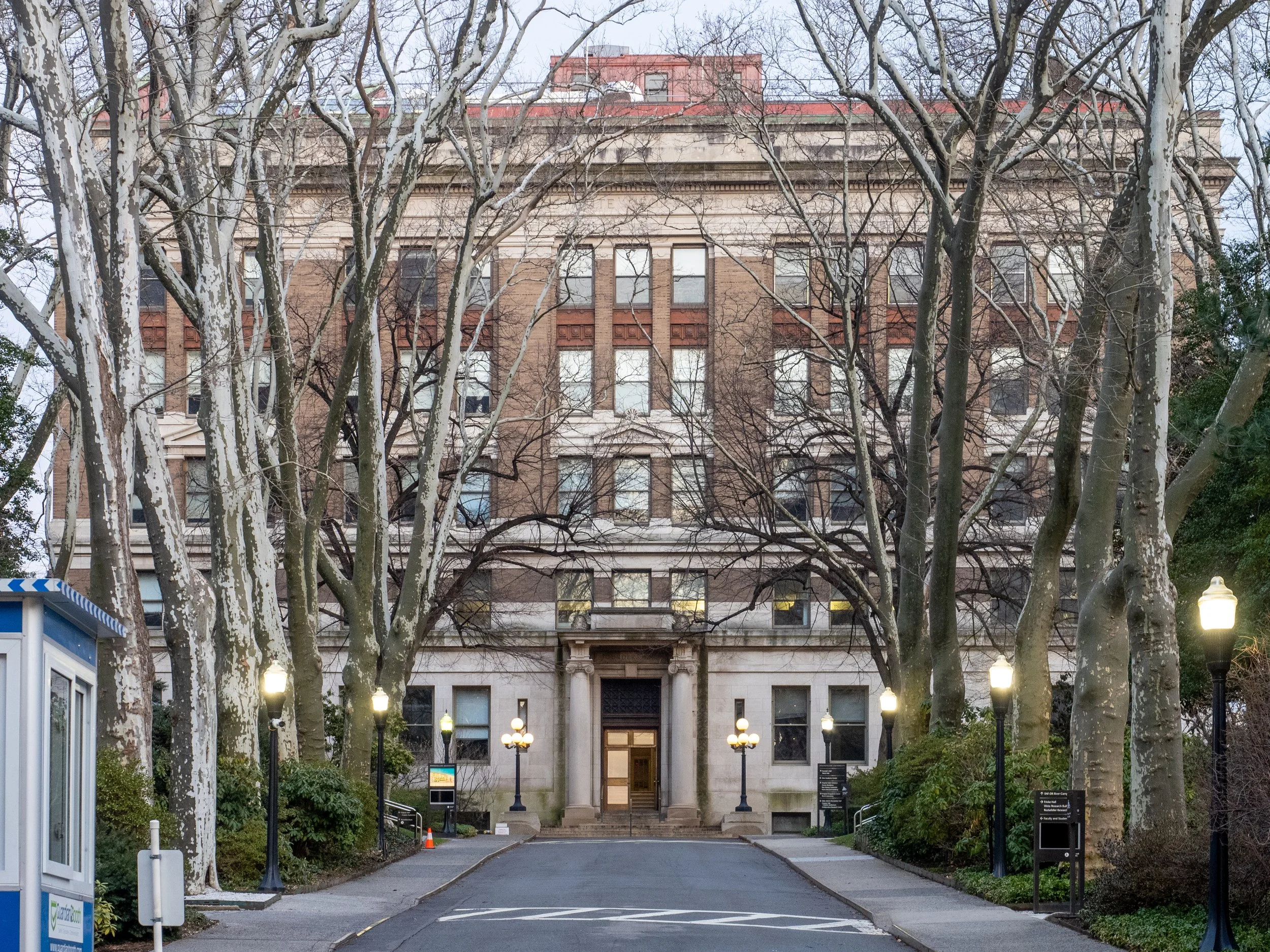 A large historic multi-story building viewed through leafless trees, with entrance steps, old-fashioned street lamps, and a small parking area in the foreground.