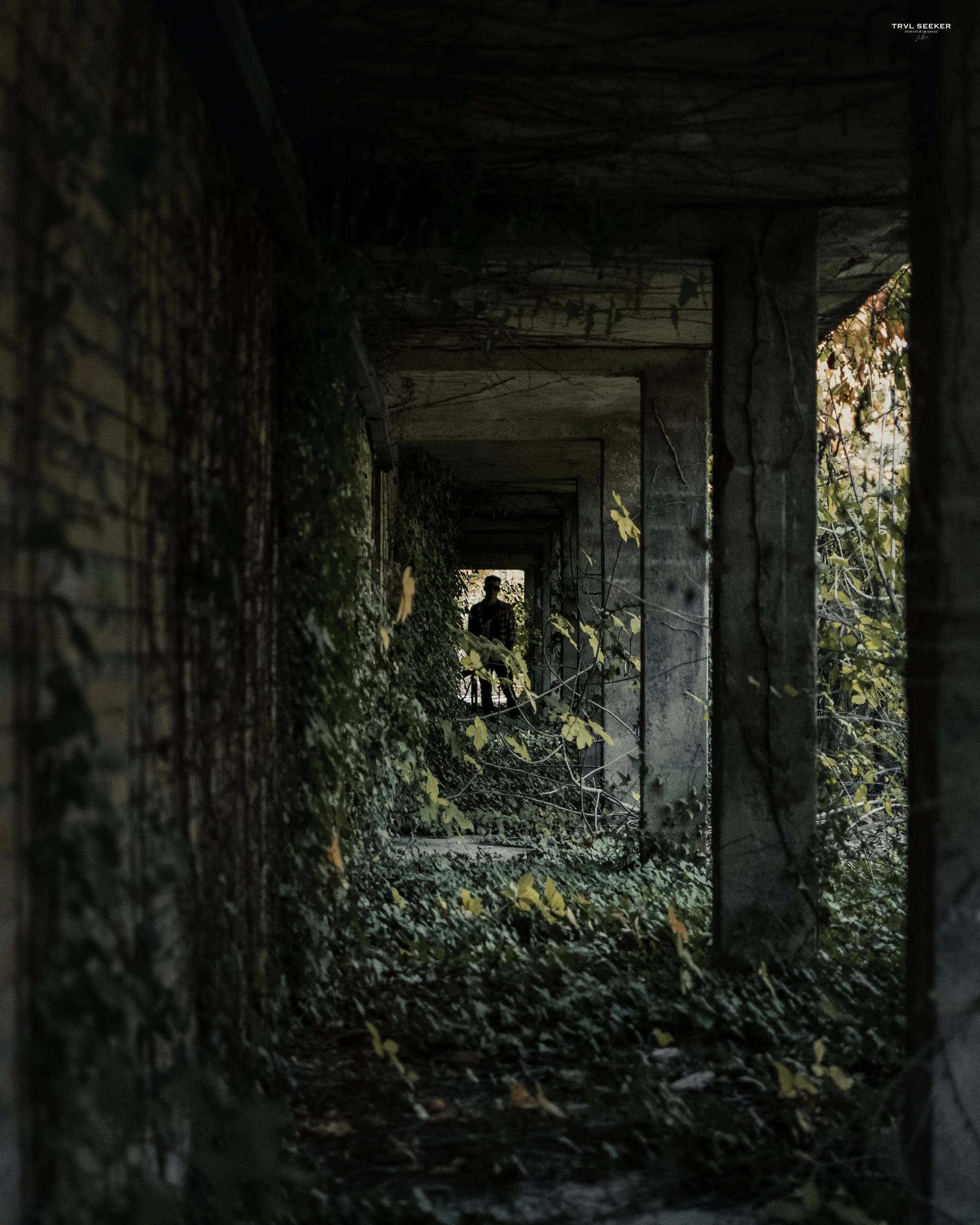 overgrown.jpg