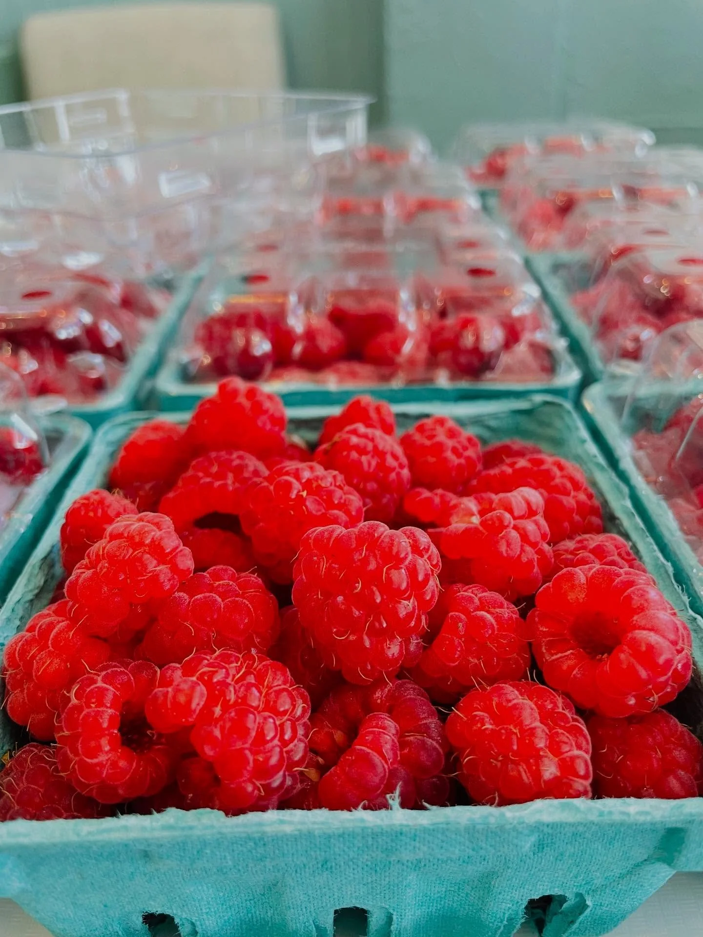 Tie the bountiful season! We still have these gorgeous local farm fresh Raspberries and Heirloom Cherry tomatoes! Stop by to have with breakfast, on a salad or as is! #raspberries #tomatoes @coastalprovisions.us #newbedford #newbedfordma #nbma #south