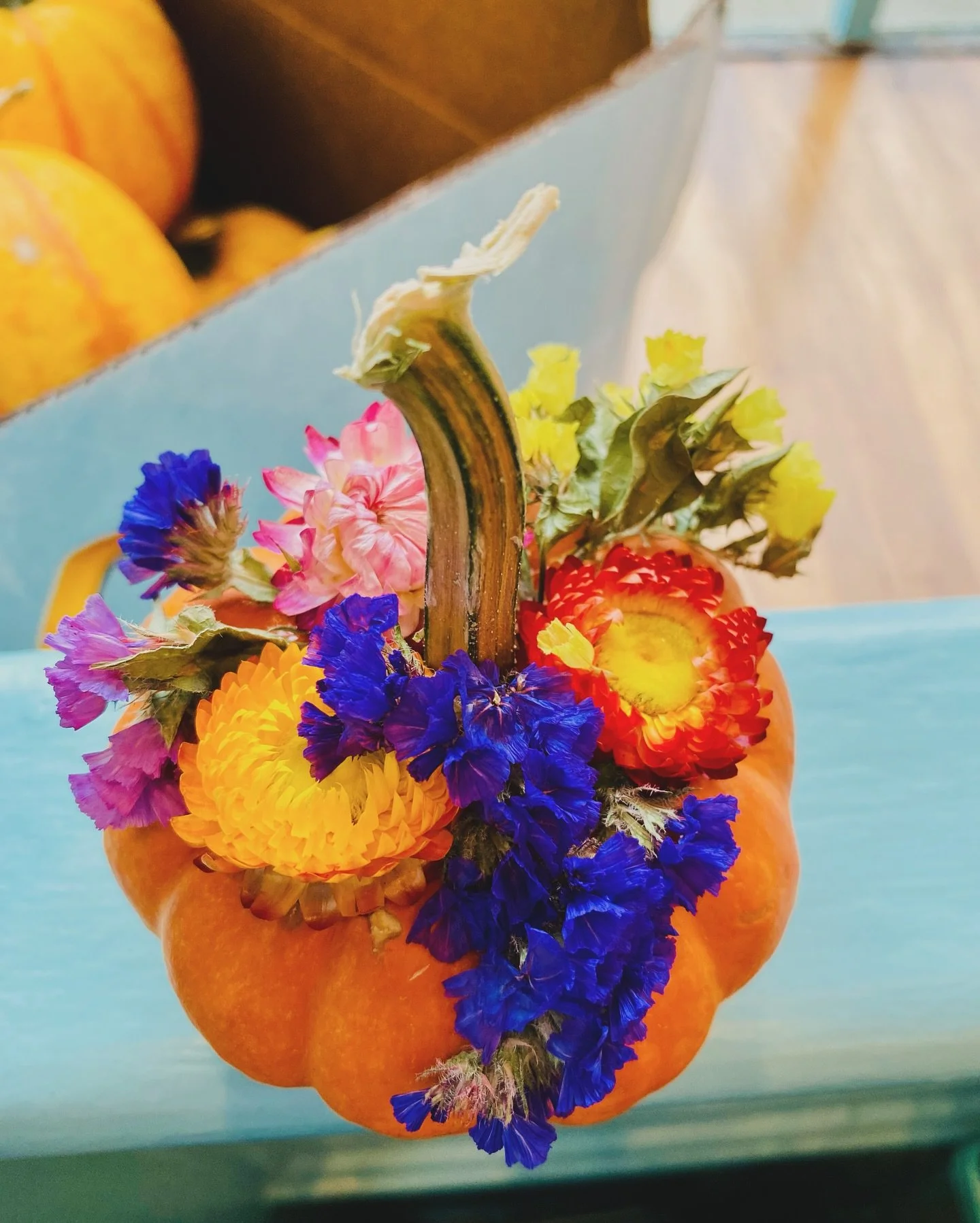 PUMPKINS 🎃, pumpkins and still more pumpkins! If you are looking for some colorful, more unique pumpkins to dress up the home in various ways in various rooms, look no further! From Sunshine pumpkins in soft yellow and artfully decorated little oran