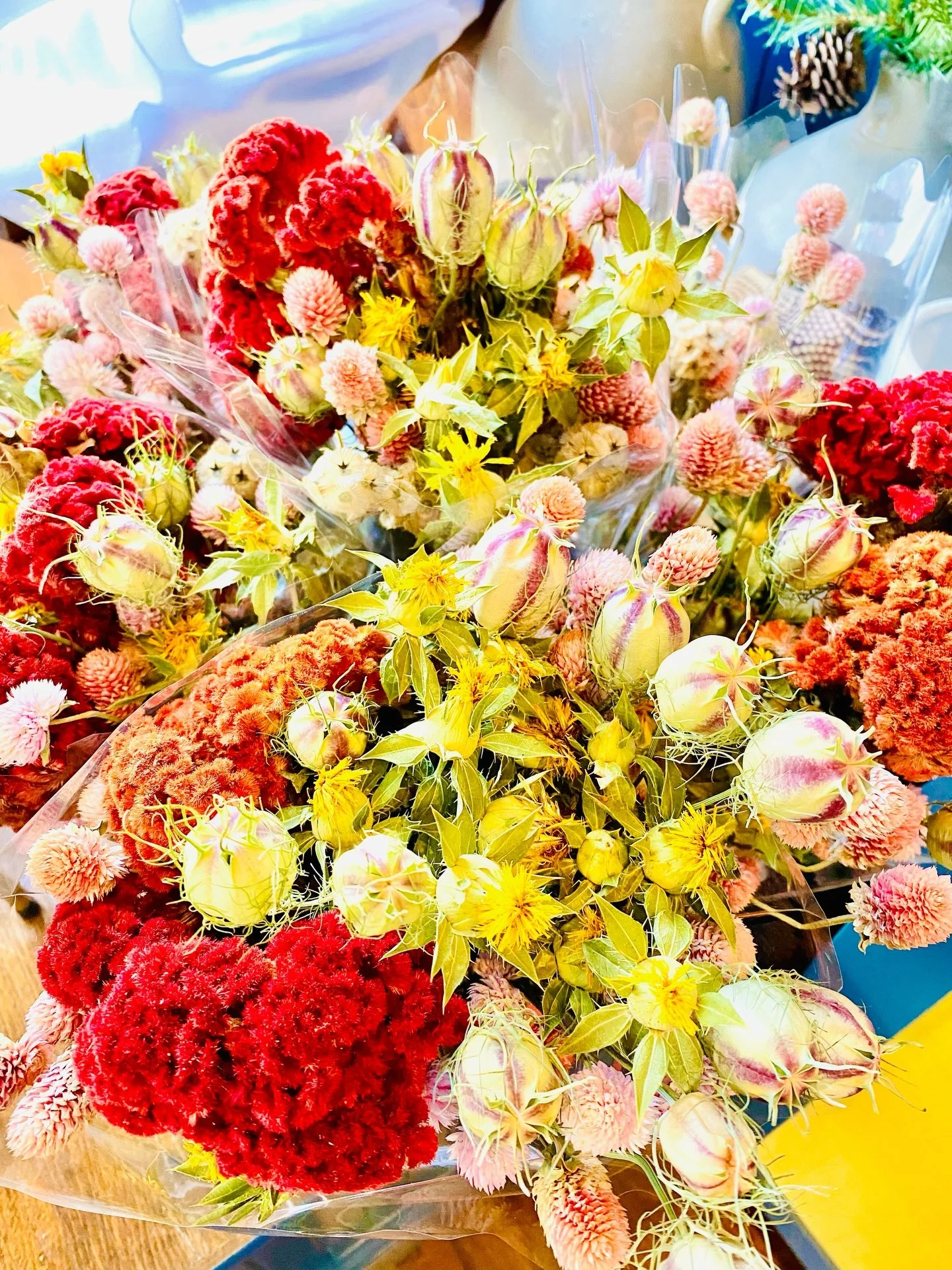 Excited to offer some unique colorful cheerful relief this holiday season that will last throughout the cold weather! We have put together some holiday/season themed winter Dried Flower Bouquets perfect for any room in the house that you need or want