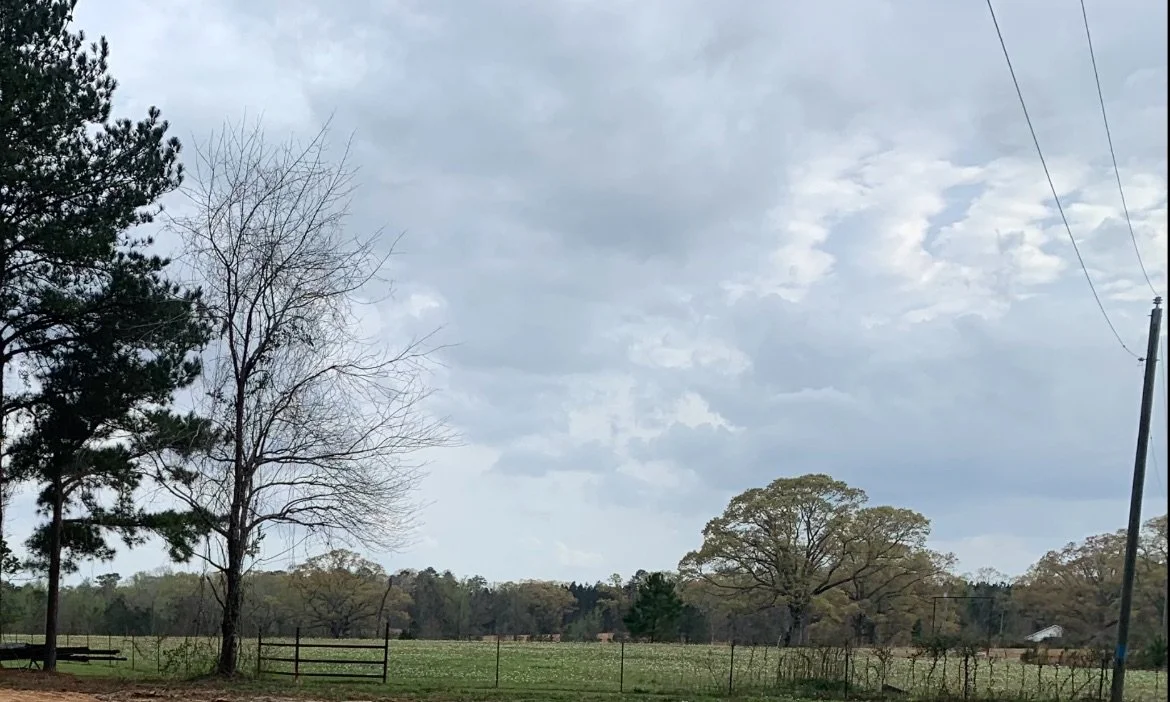 View recent photos.JPEG