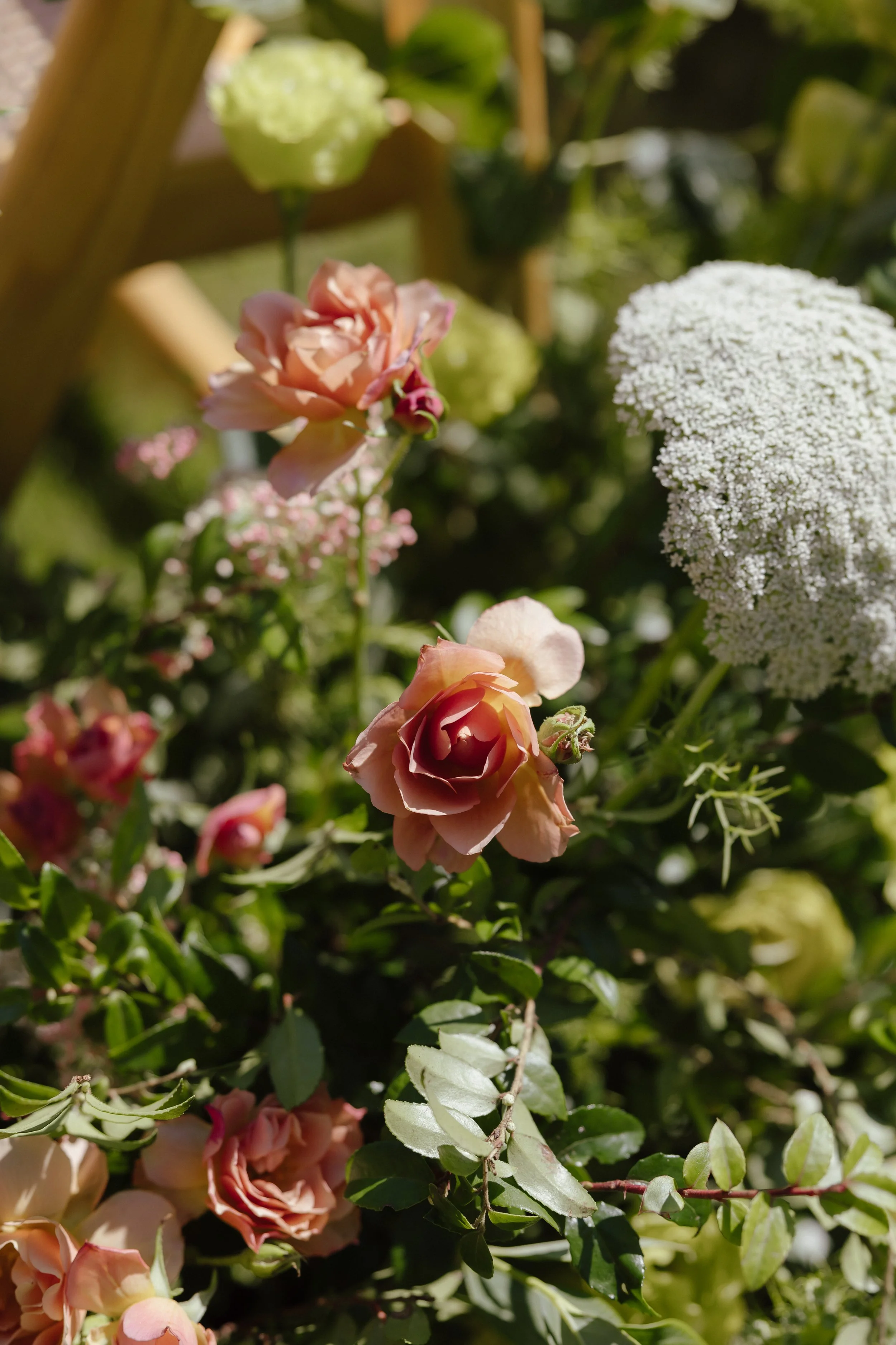 Kacie&Gaba-sneak-peek-montecito-wedding-23.jpg