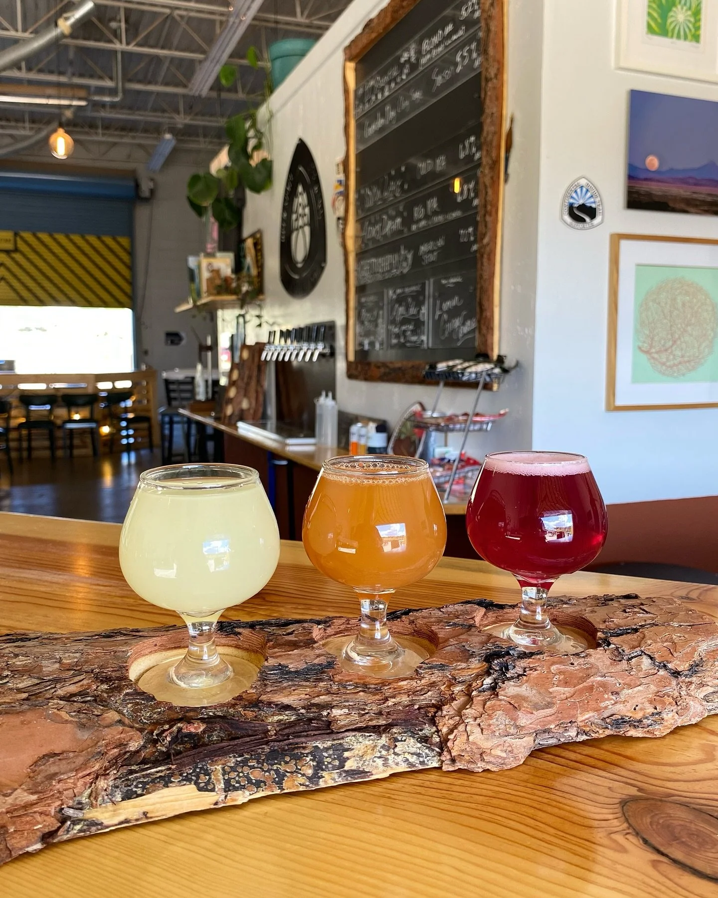 This N/A flight is serving! 🍹✨

💛 Zesty Lemon Ginger Bubbles
🧡 Crisp Mimbres Valley Apple Cider, fresh-pressed perfection
🩷 Prickly Pear + Pomegranate + Lime = a pink pop of magic

Zero proof, 100% delicious 💯 

#newmexicolife #nonalcohol #nonal