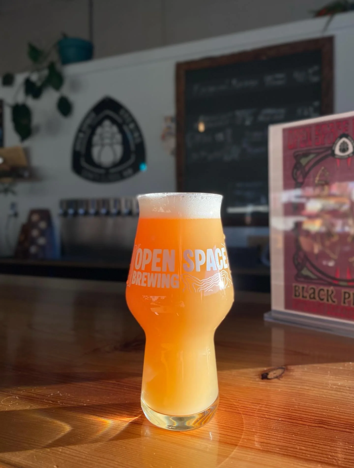 NM-15 returns!💥 Galaxy is the mainstay hop with this Hazy Double IPA, but this latest batch features Dolcita 🍑 Candied peach ring on a tropical punch banger. Hazy Double IPA 8.0% ABV now pouring just in time for the Sunset Stage kickoff party with 