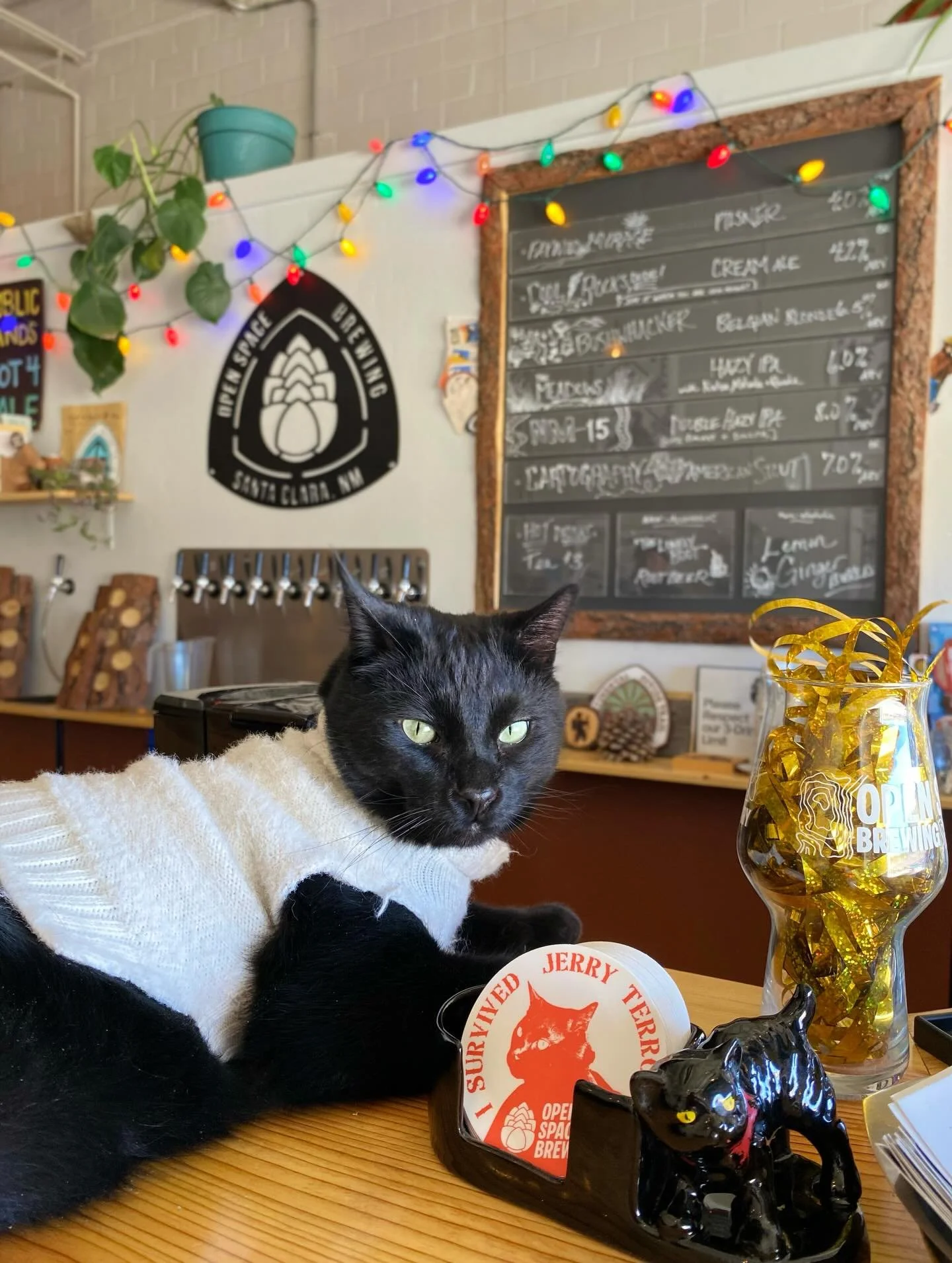 Happy 4th Birthday to our sweet solstice kitty Jerry Terror!🐈&zwj;⬛🎉❤️ &ldquo;I Survived Jerry Terror&rdquo; stickers available now!