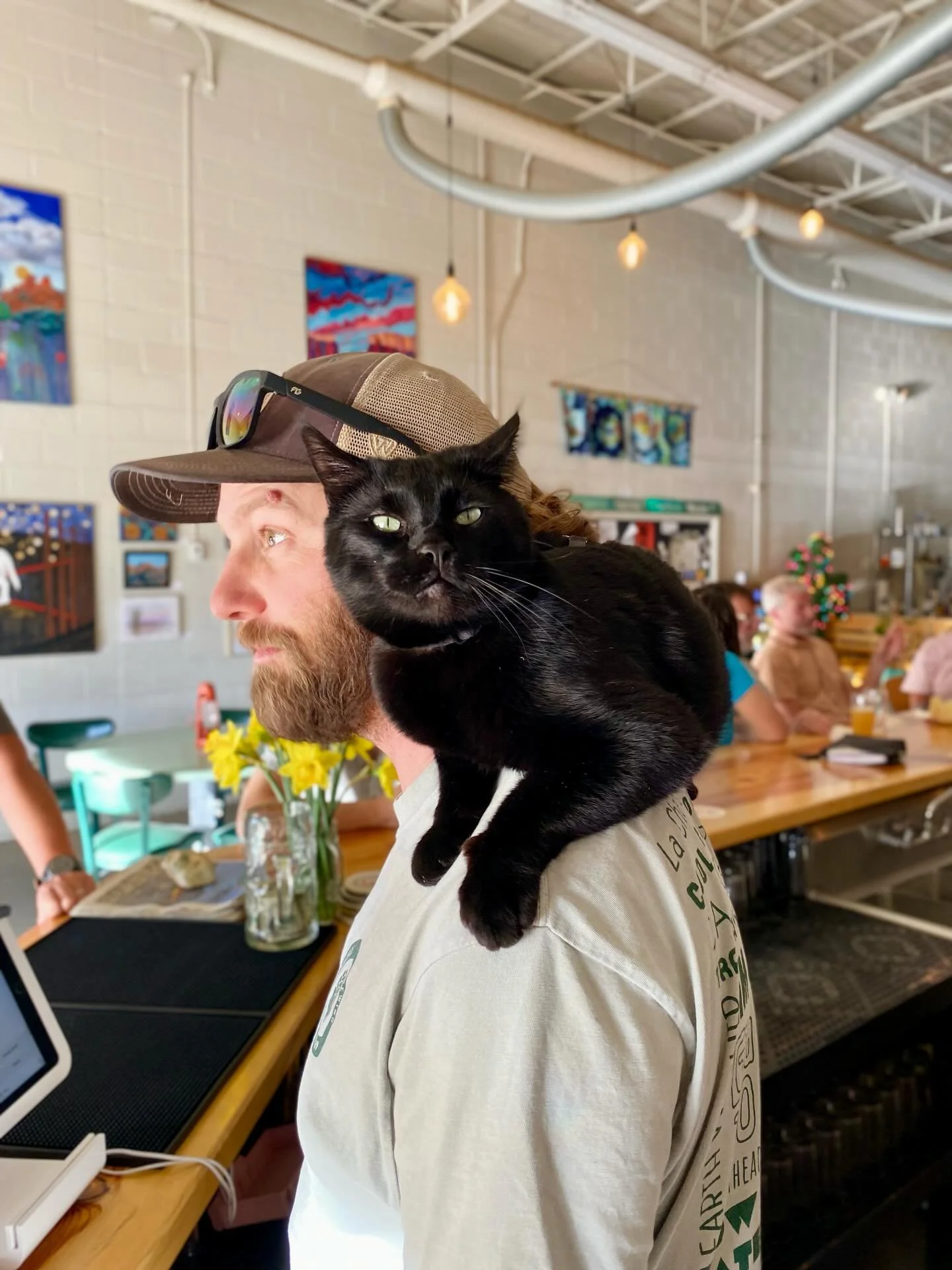 Jerry Terror will take your order now🐈&zwj;⬛ #caturday #openspacebrewing #newmexico #visitsilvercity #craftbeer