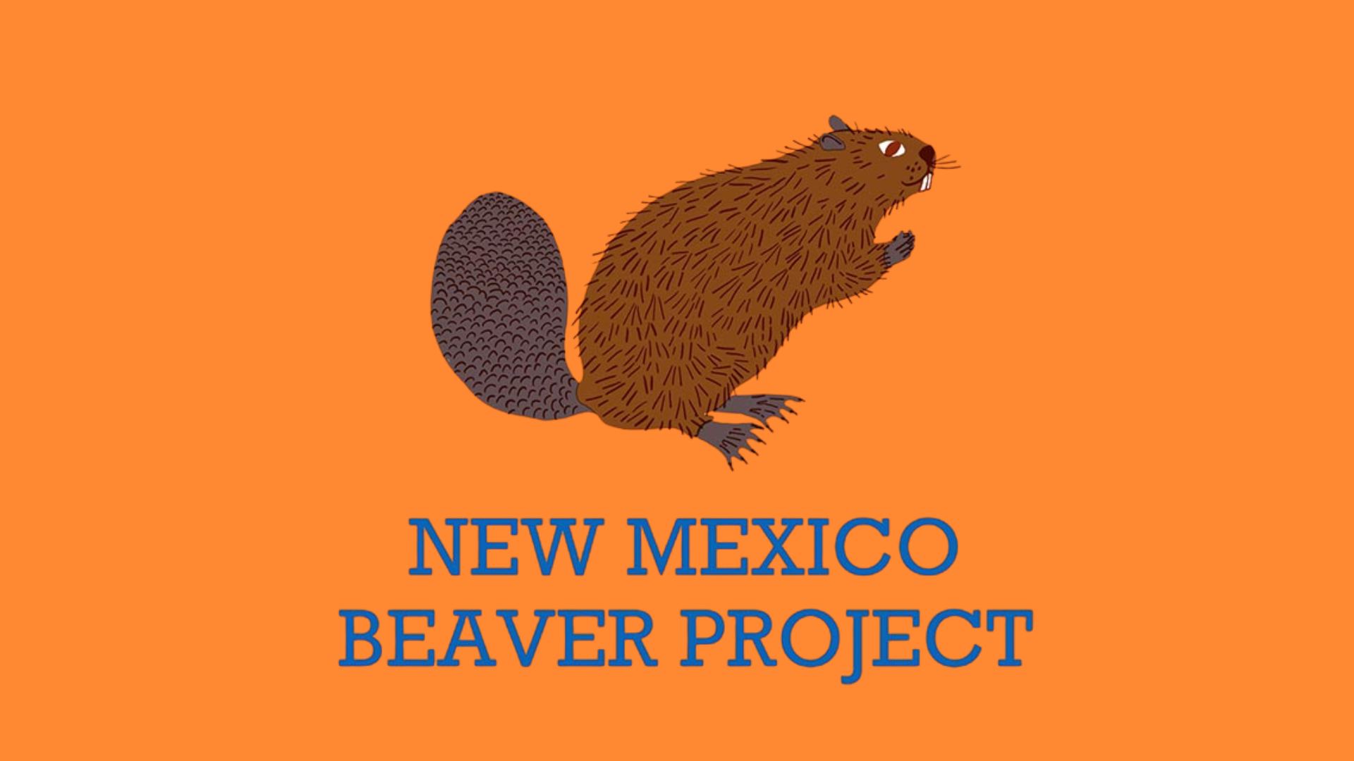 Beavers in the Gila: It's About Dam Time! 