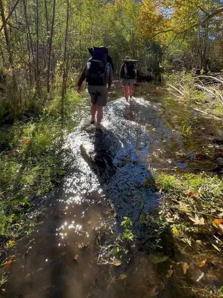 Dam straight we believe beavers should live peacefully in the Gila! Here&rsquo;s some pics from a Gila backpacking trip where we wandered through some flooding due to a beaver dam on the Middle Fork&mdash;and loved it! Jerry is a beaver believer too!